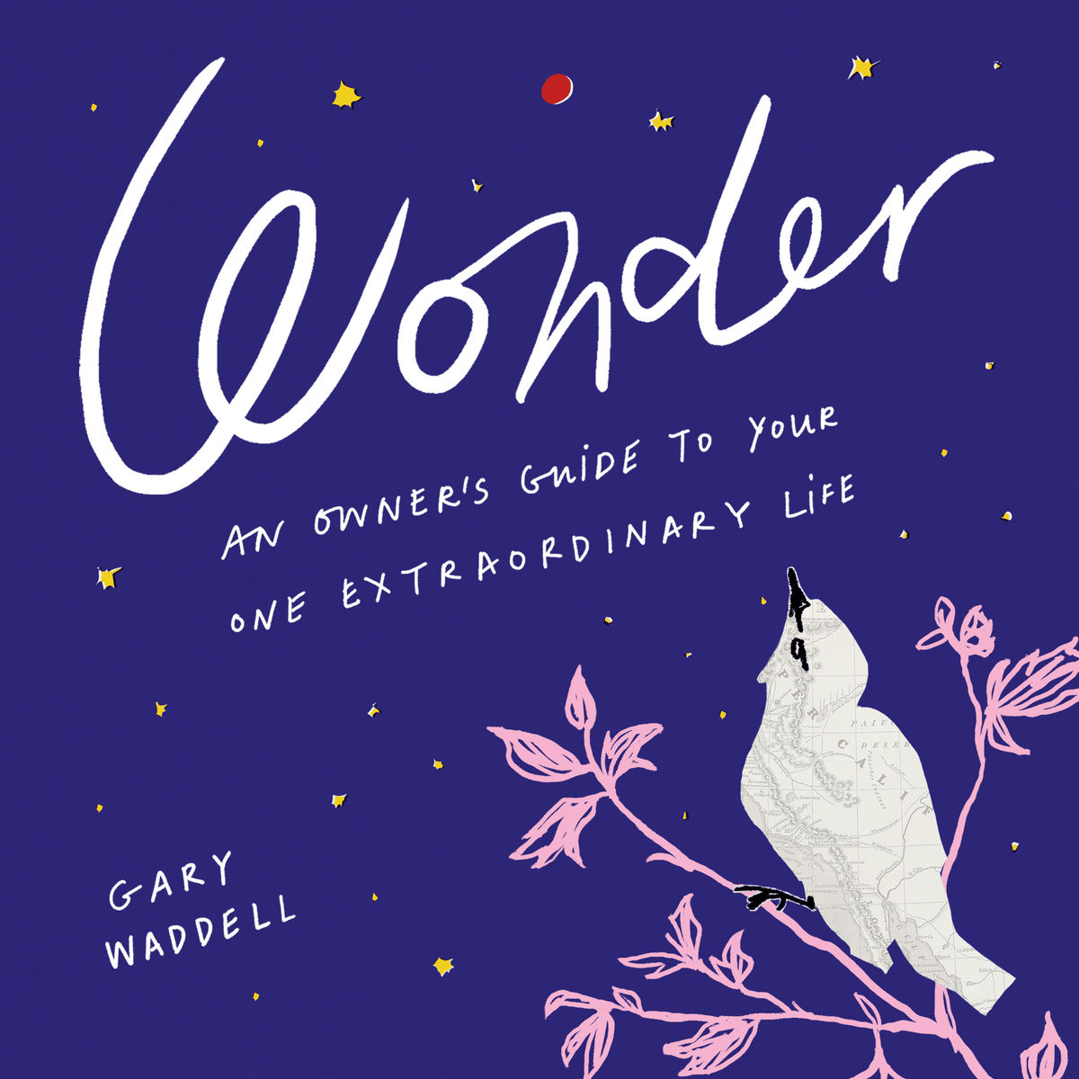 Wonder