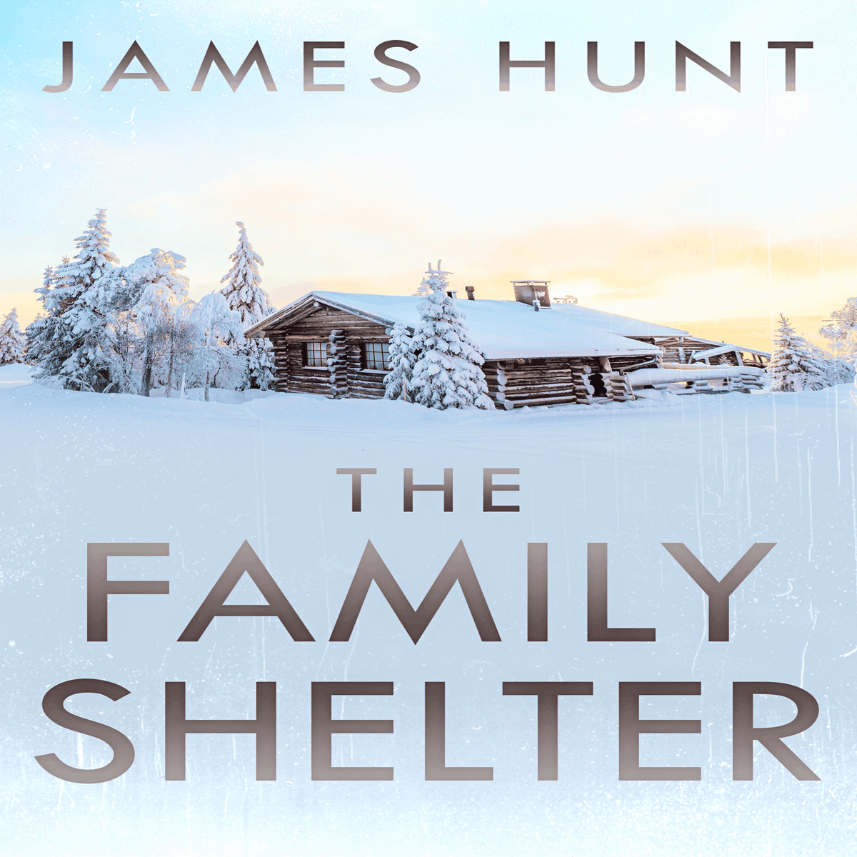The Family Shelter: A Small Town Post Apocalypse EMP Thriller
