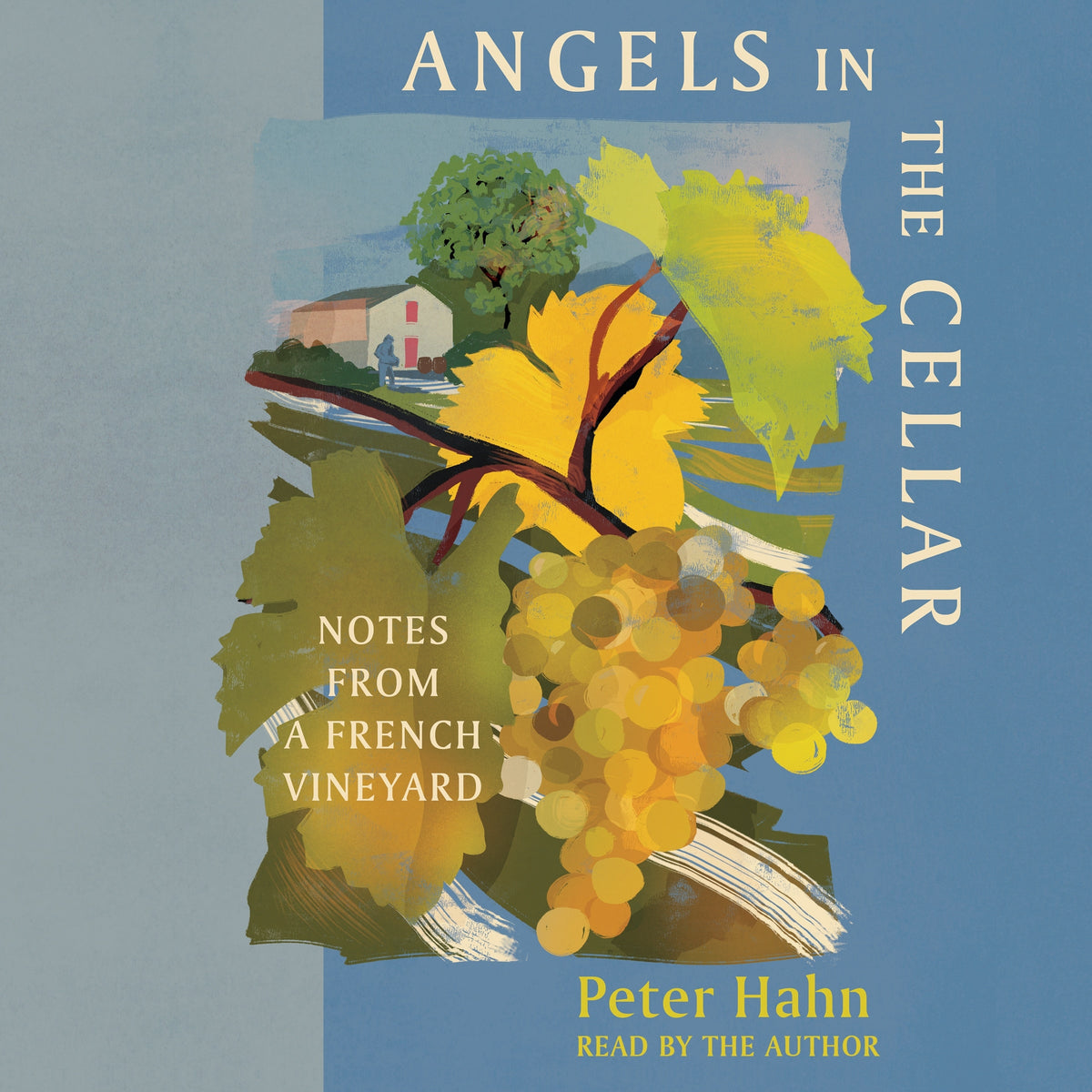 Angels in the Cellar