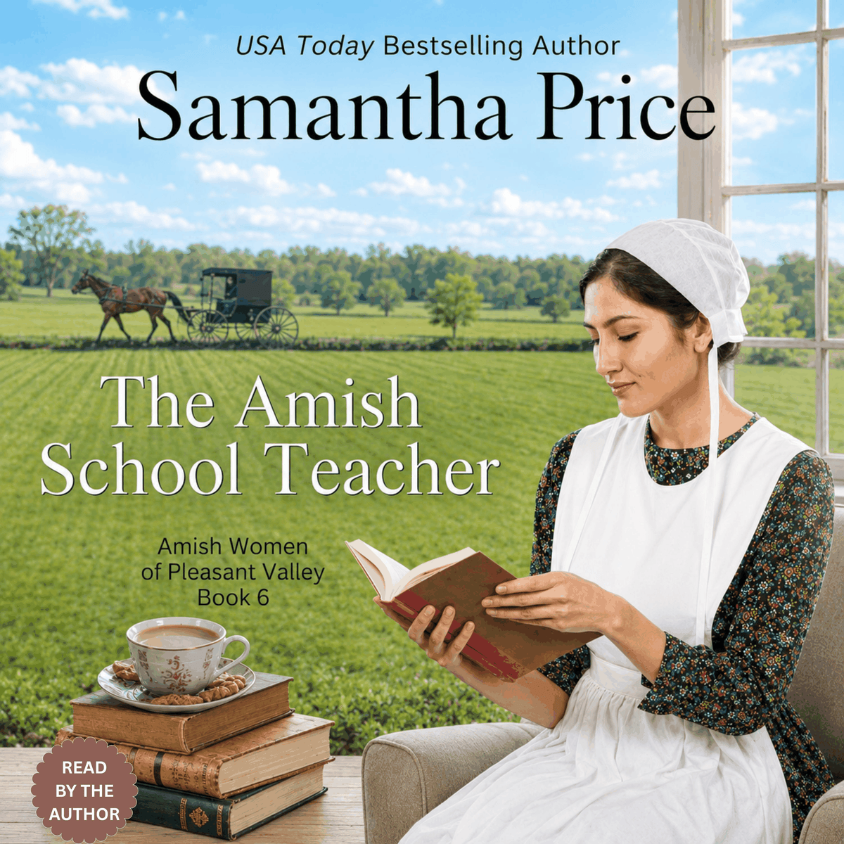 The Amish School Teacher