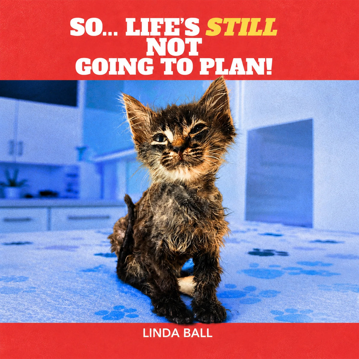 So, Life's Still Not Going to Plan