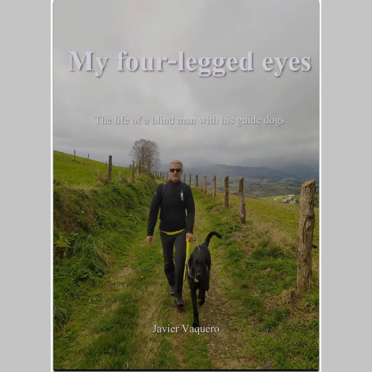 My four-legged eyes