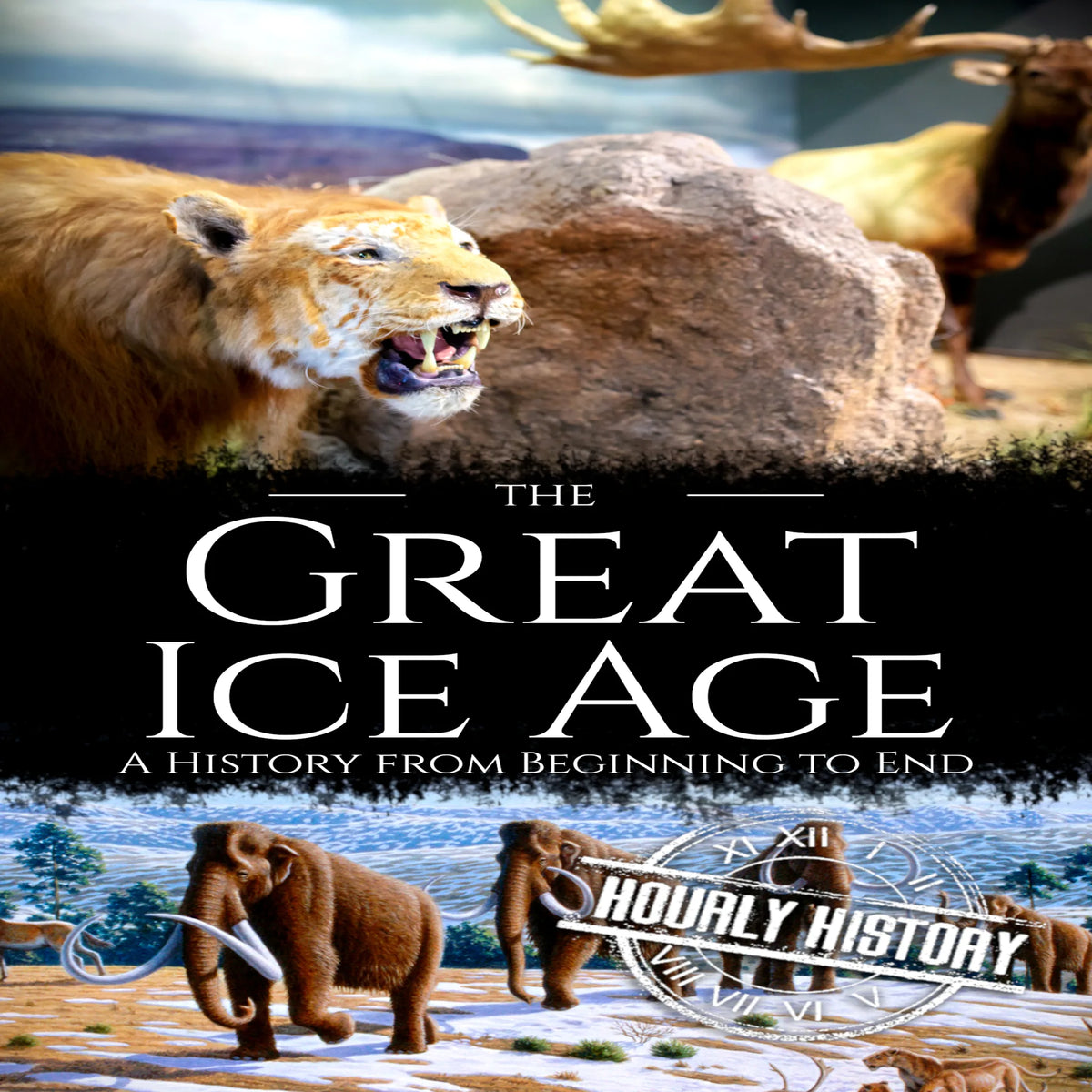The Great Ice Age