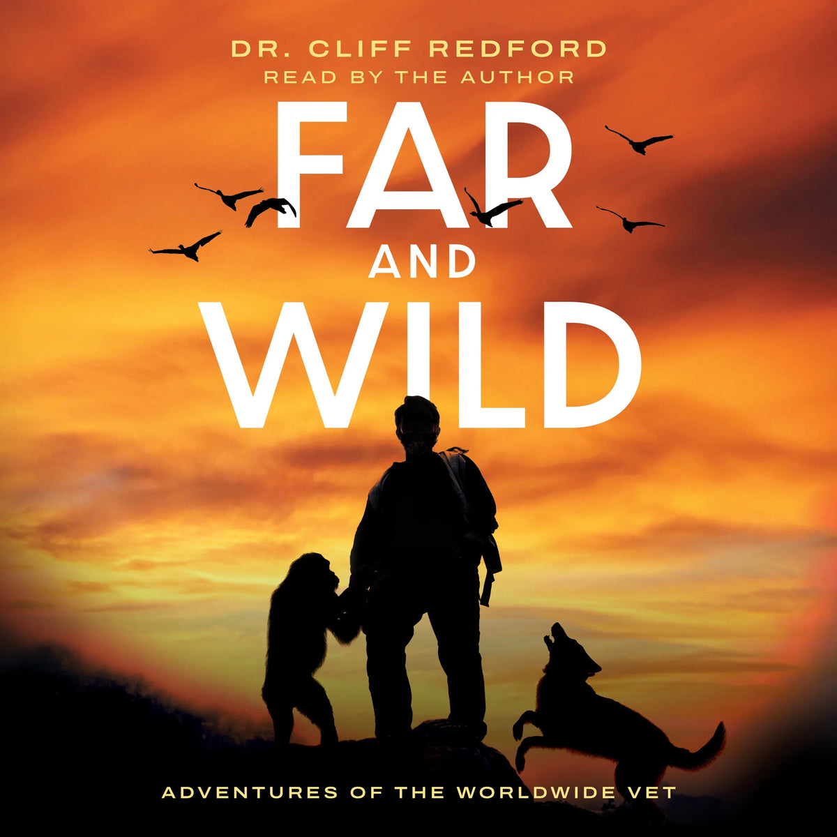 Far and Wild