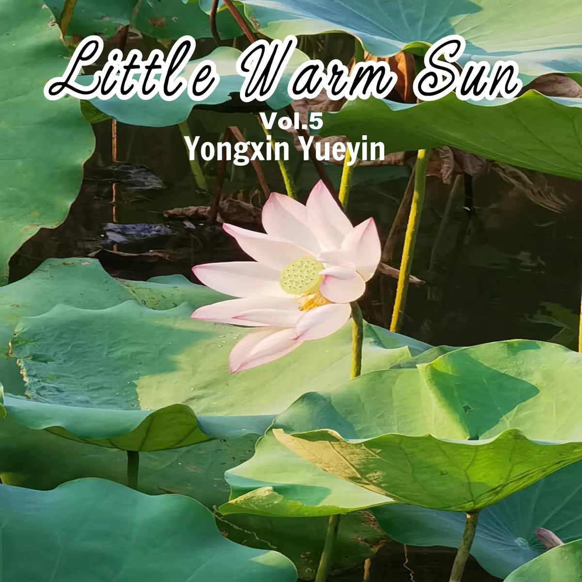 Little Warm Sun Vol.5