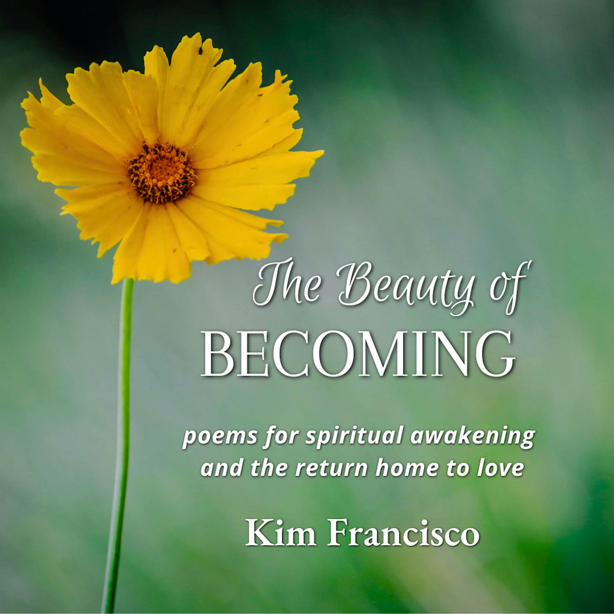 The Beauty of Becoming