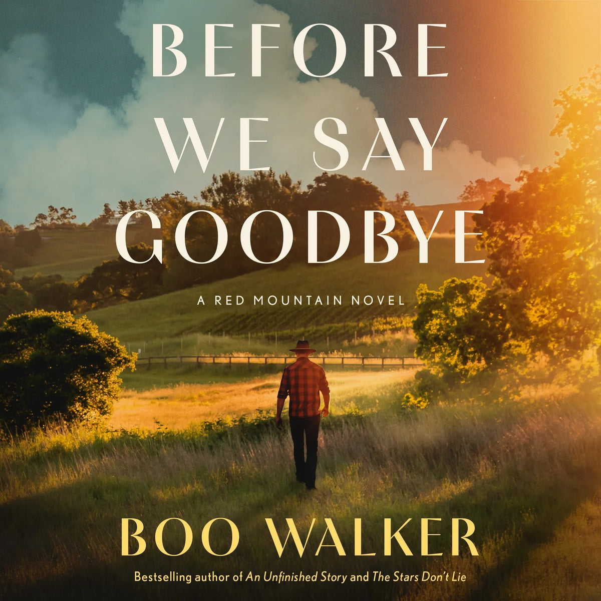 Before We Say Goodbye