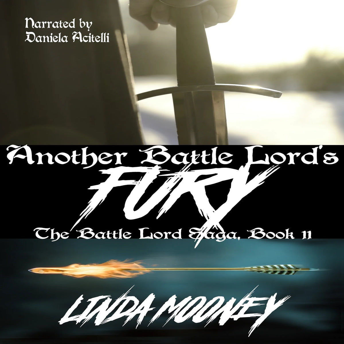 Another Battle Lord's Fury