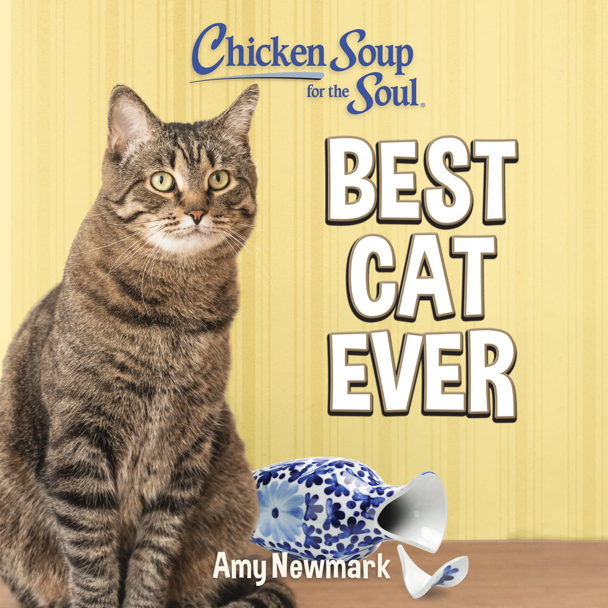 Chicken Soup for the Soul: Best Cat Ever