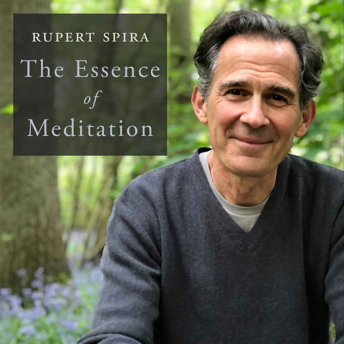 The Essence of Meditation