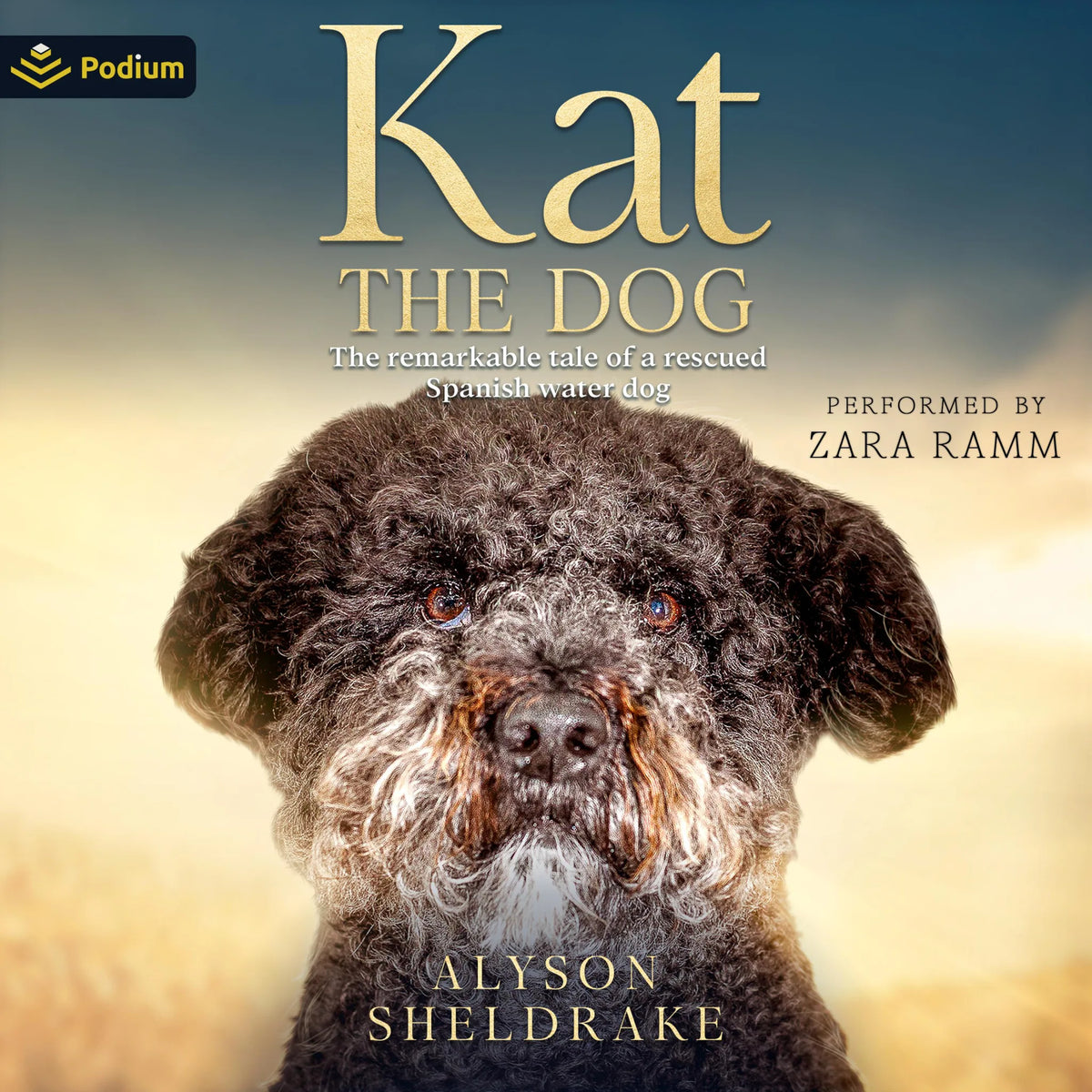 Kat the Dog: The Remarkable Tale of a Rescued Spanish Water Dog