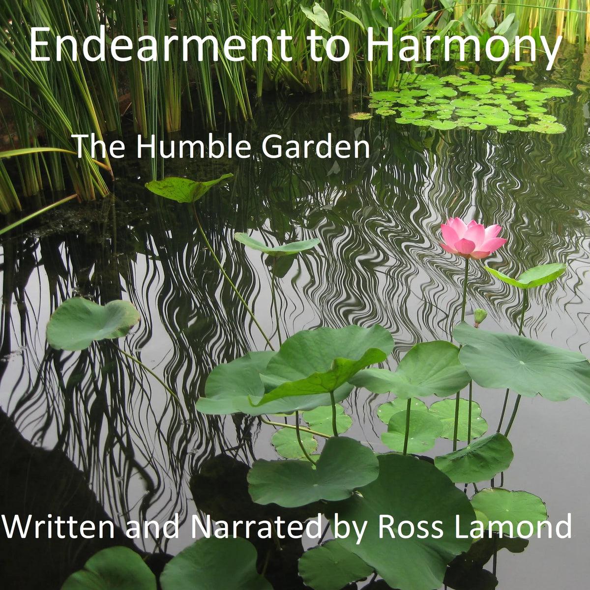 Endearment to Harmony