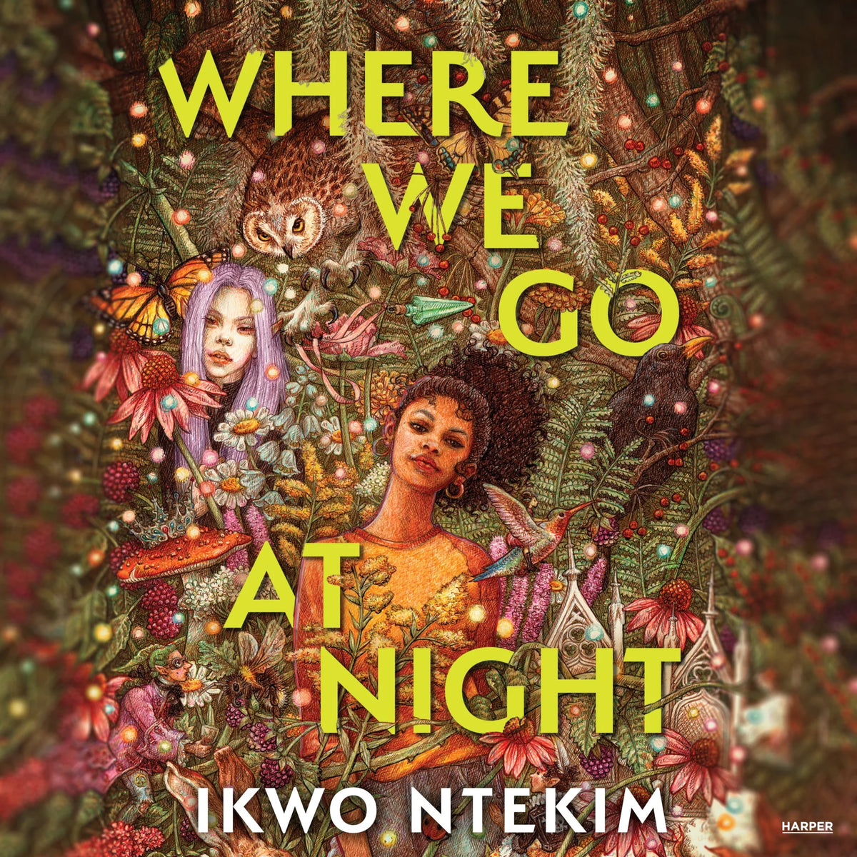 Where We Go at Night