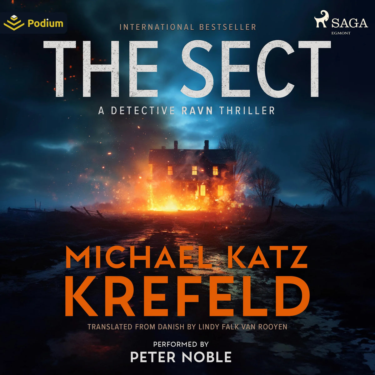 The Sect: A Detective Ravn Thriller