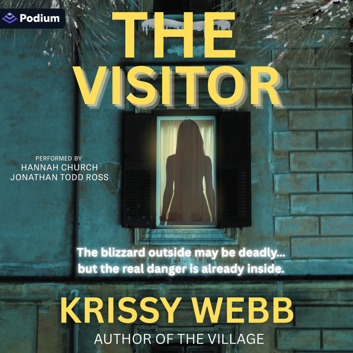 The Visitor