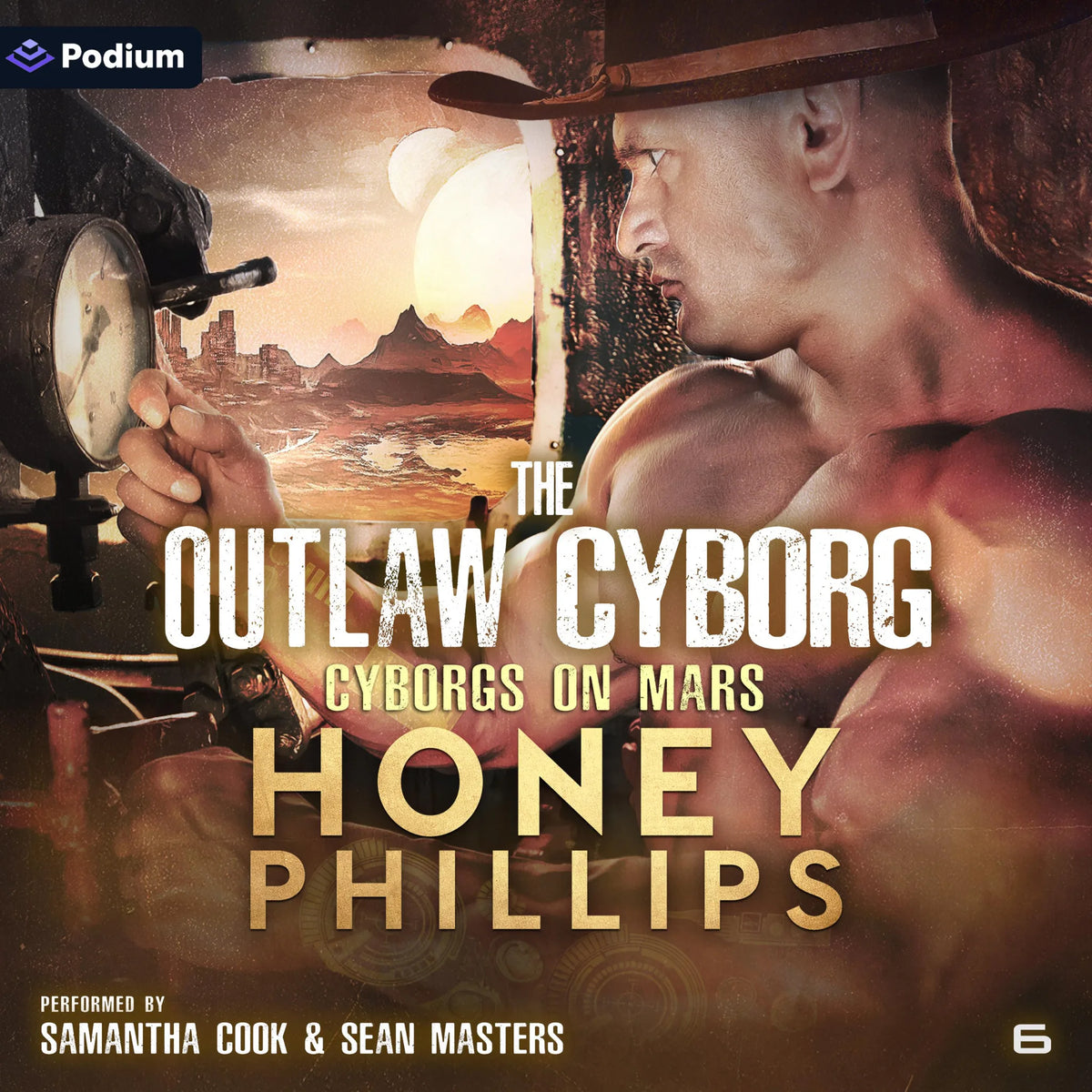 The Outlaw Cyborg