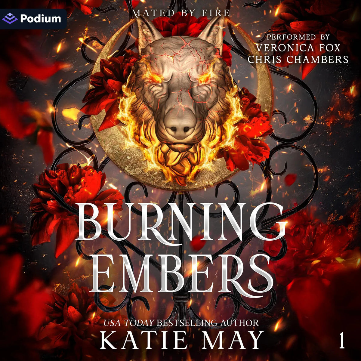 Burning Embers