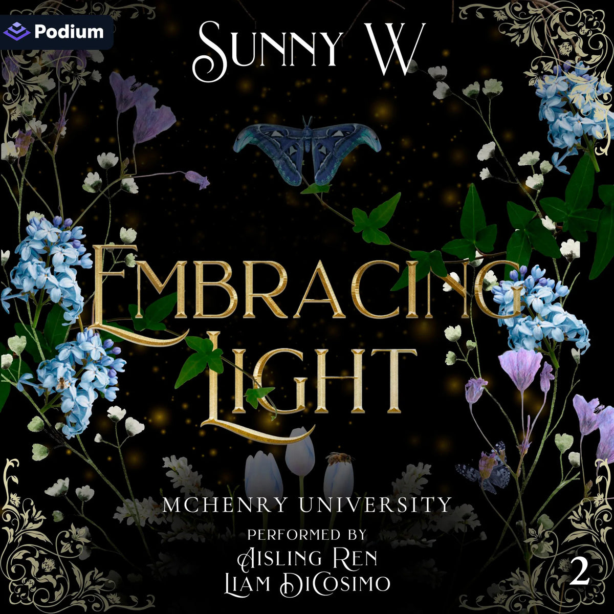 Embracing Light