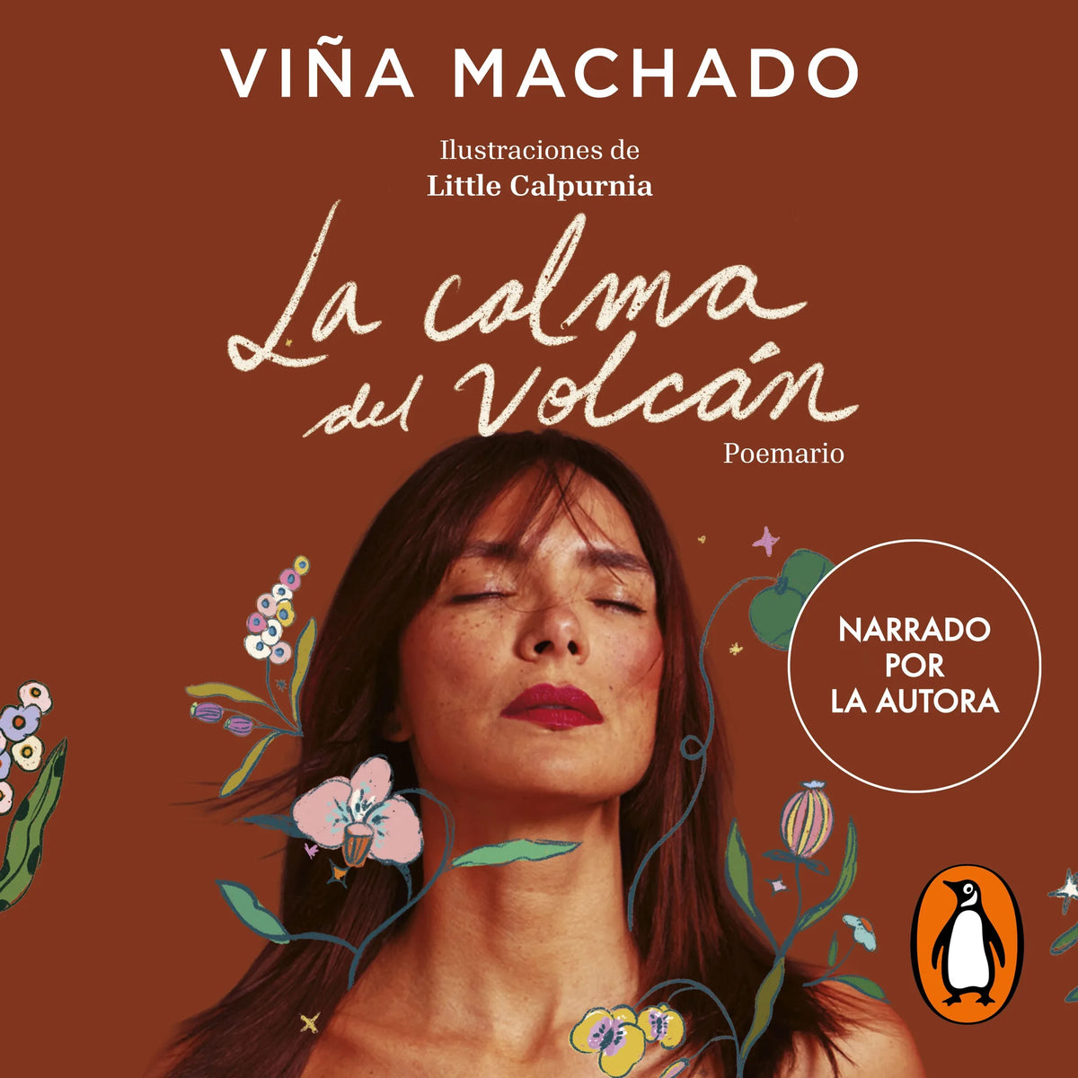 La calma del volcán