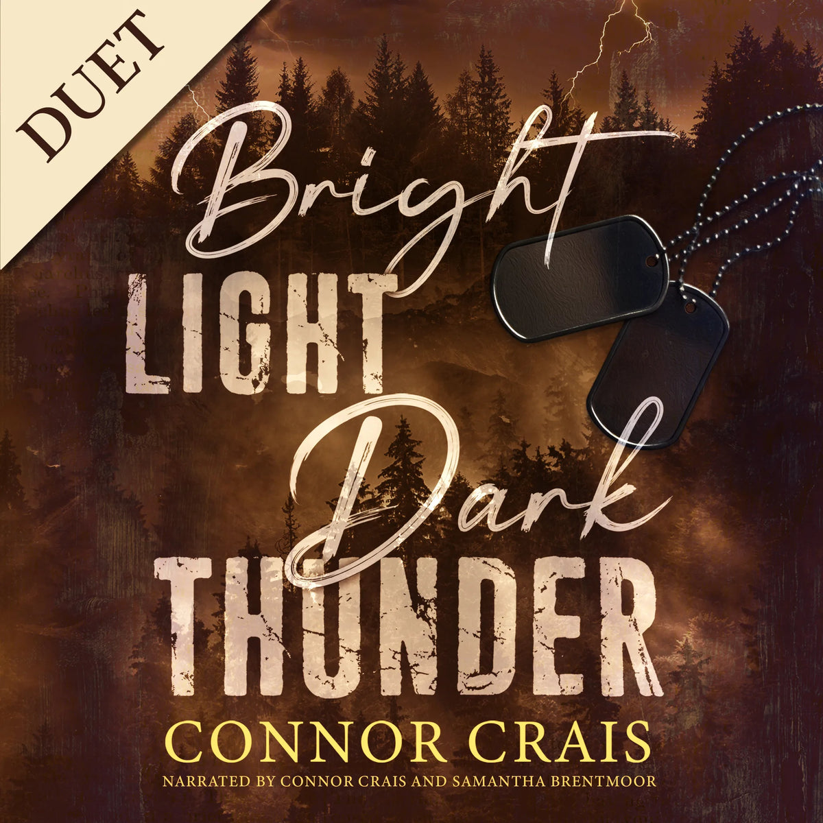 Bright Light Dark Thunder