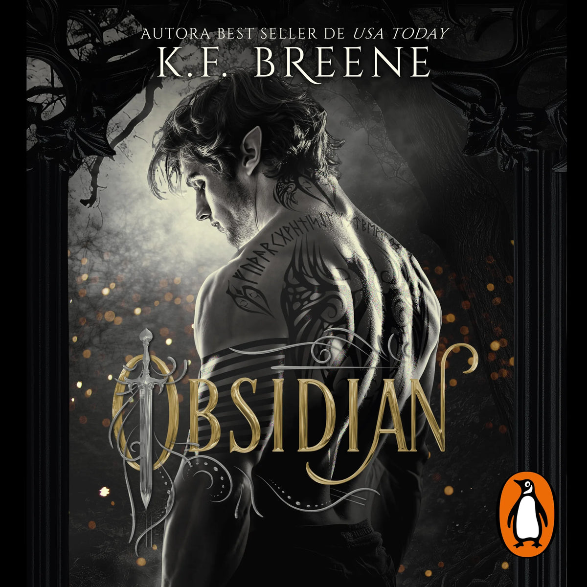 Los fae de las sombras 1 - Obsidian
