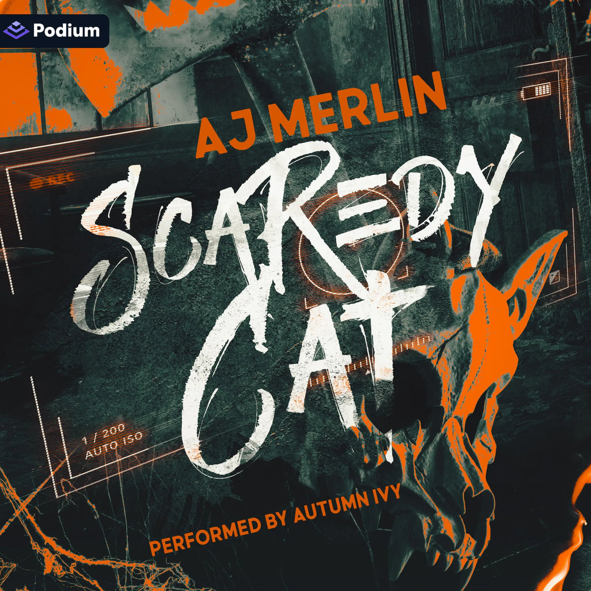 Scaredy Cat