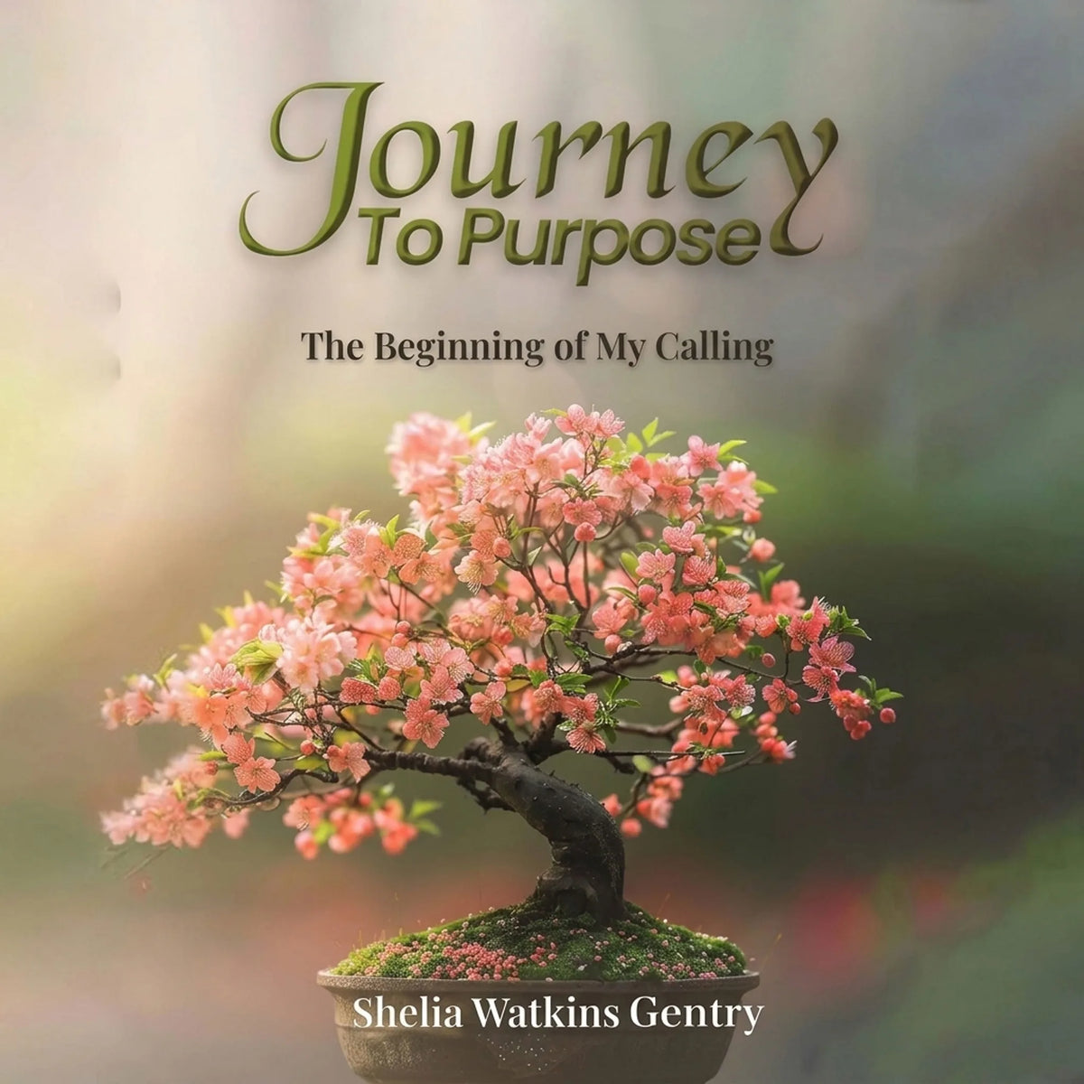 Journey To Purpose