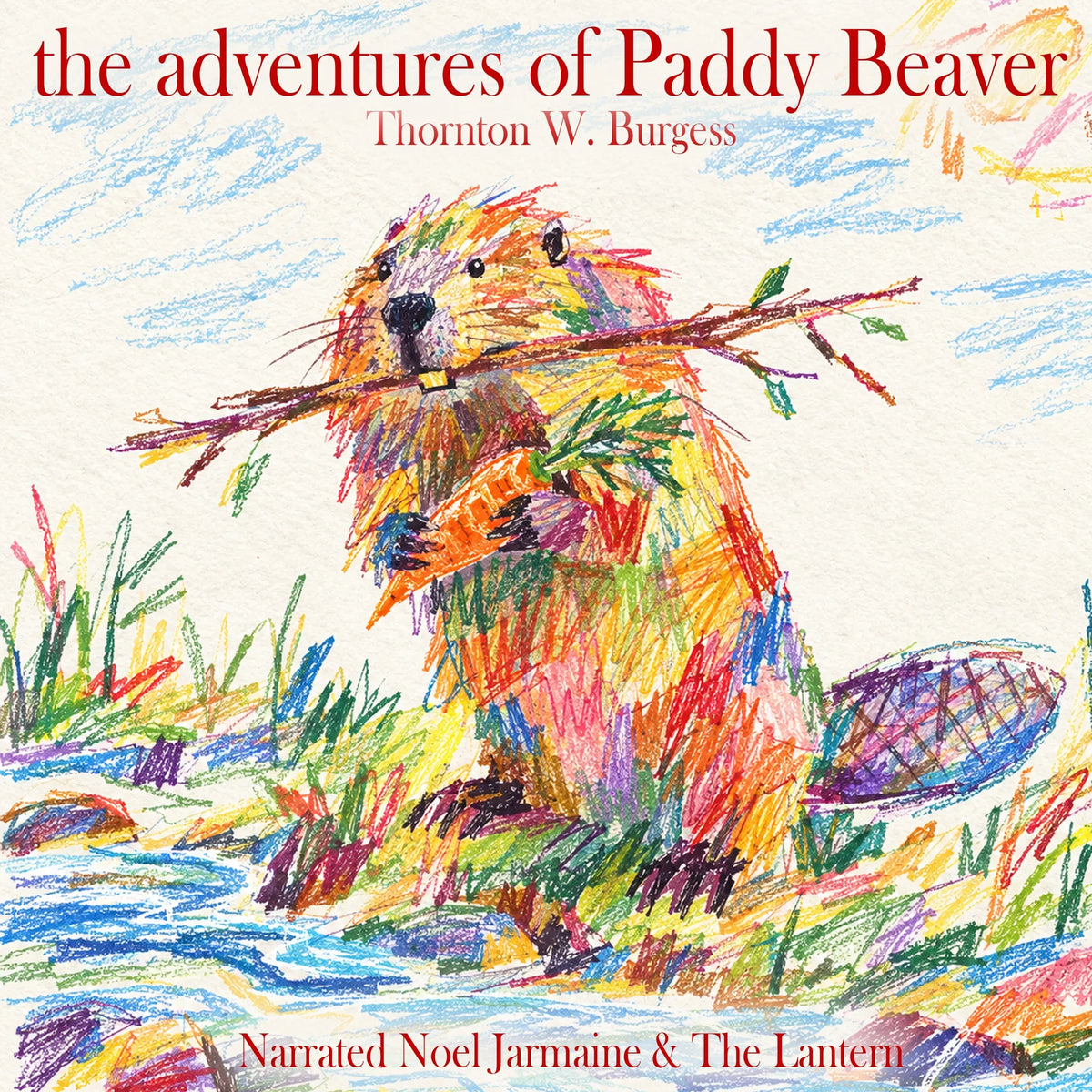 The Adventures Of Paddy Beaver