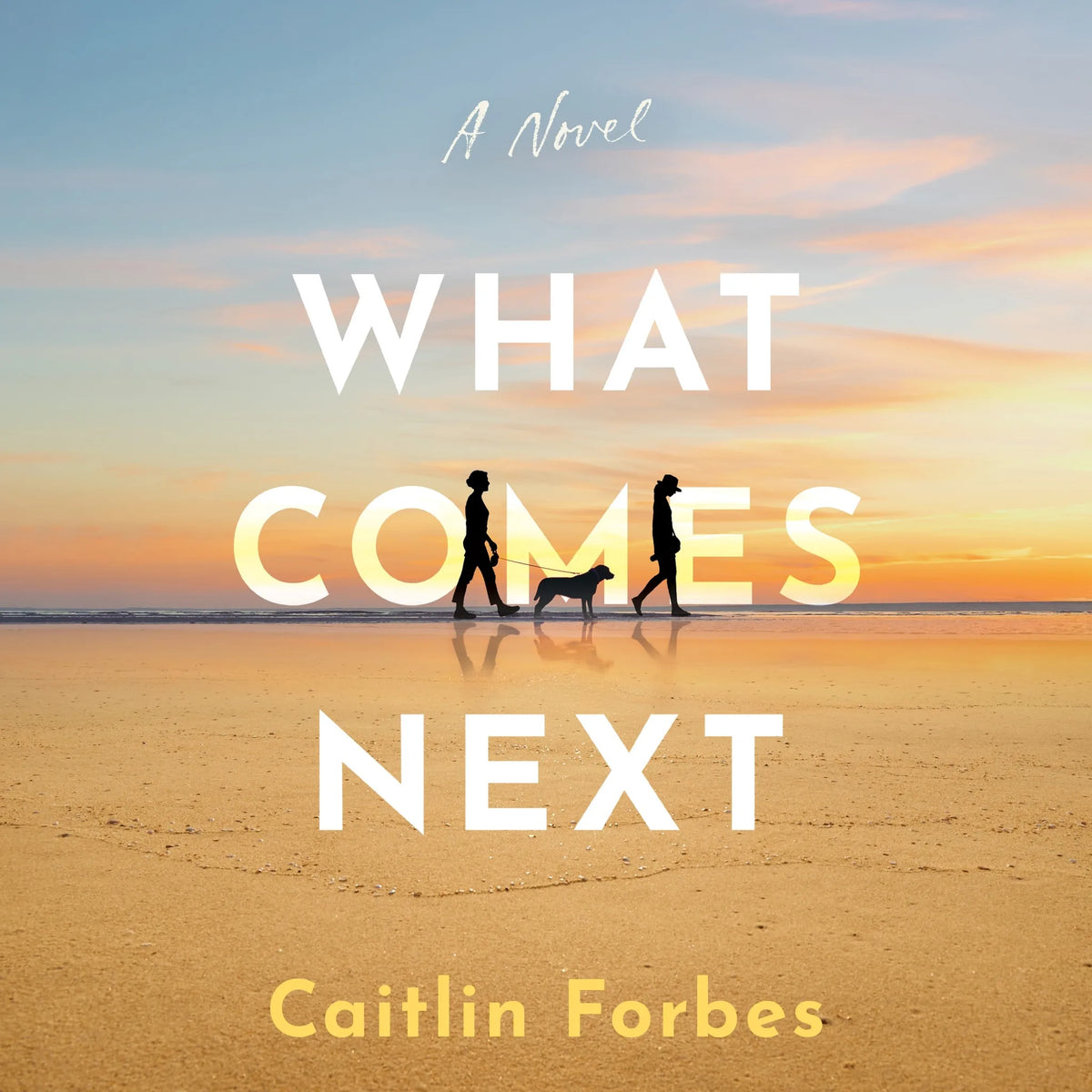 What Comes Next
