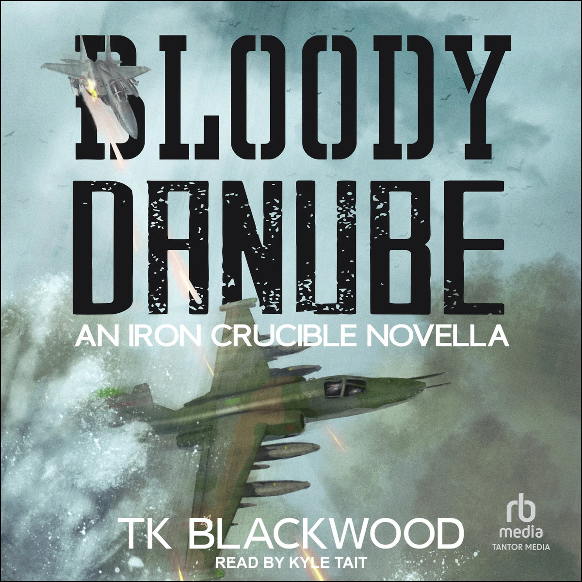 Bloody Danube: An Iron Crucible Novella