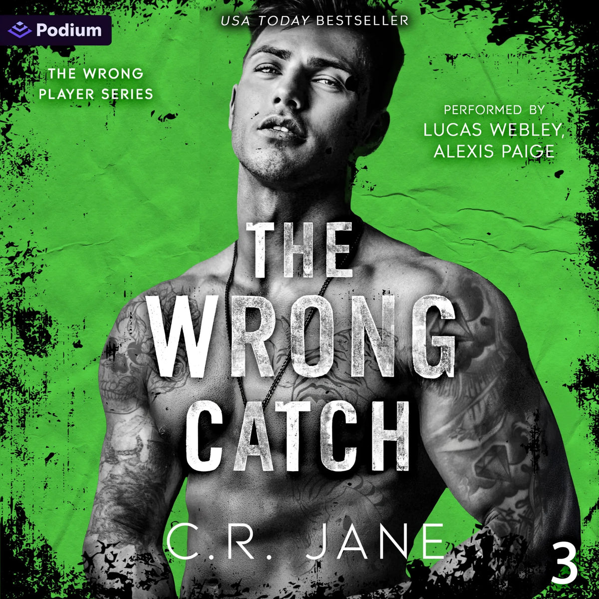 The Wrong Catch: A Football Romance