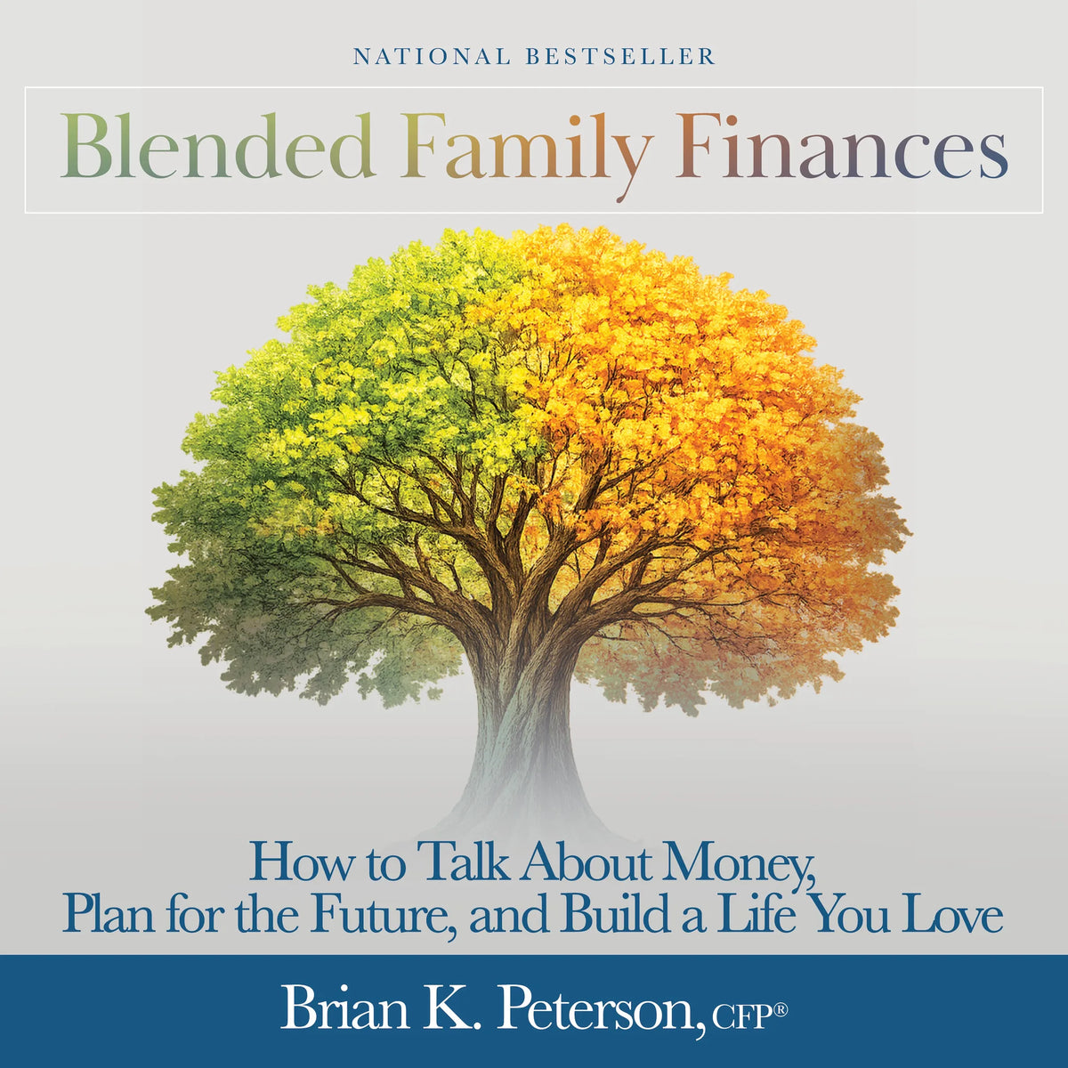 Blended Family Finances