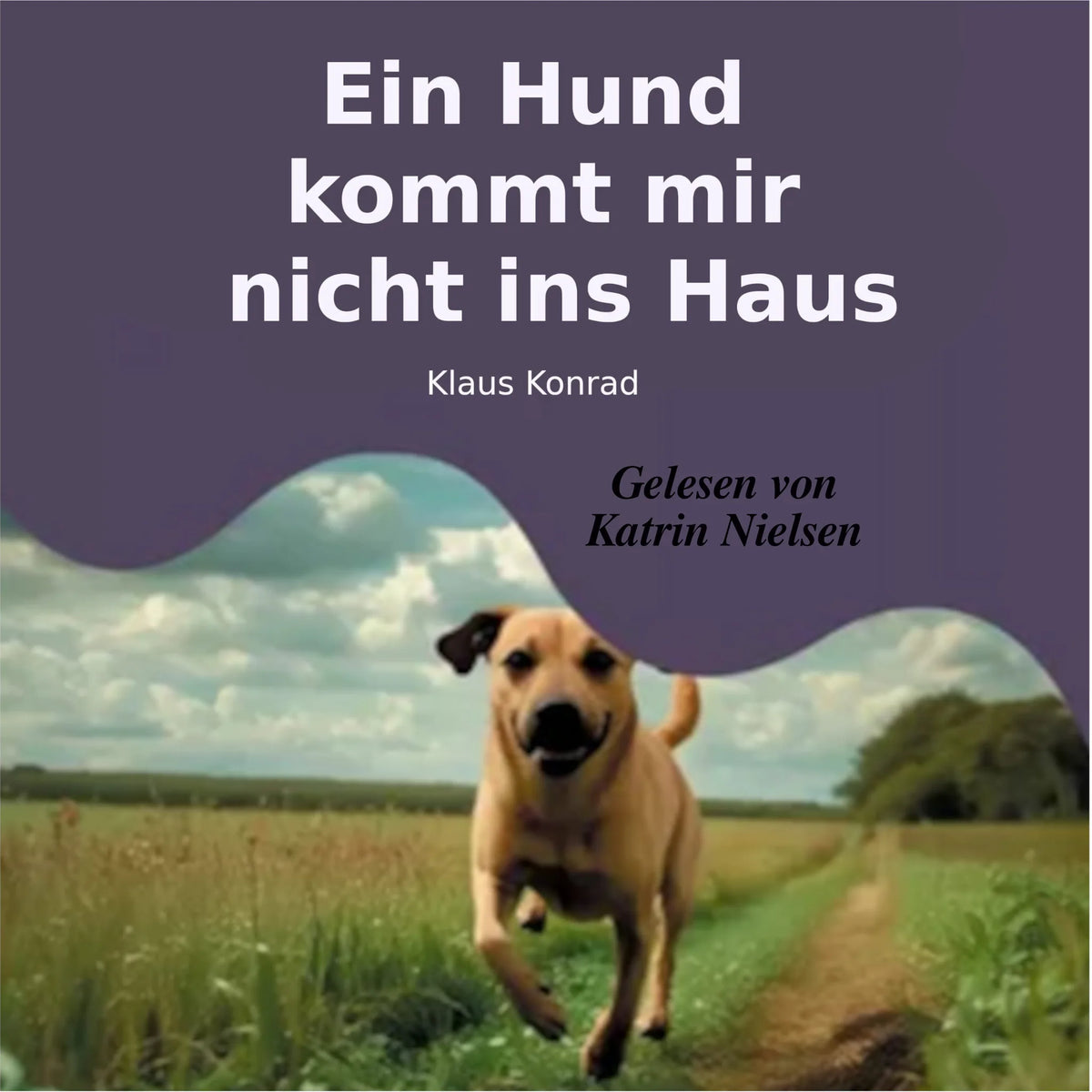 Ein Hund kommt mir nicht ins Haus