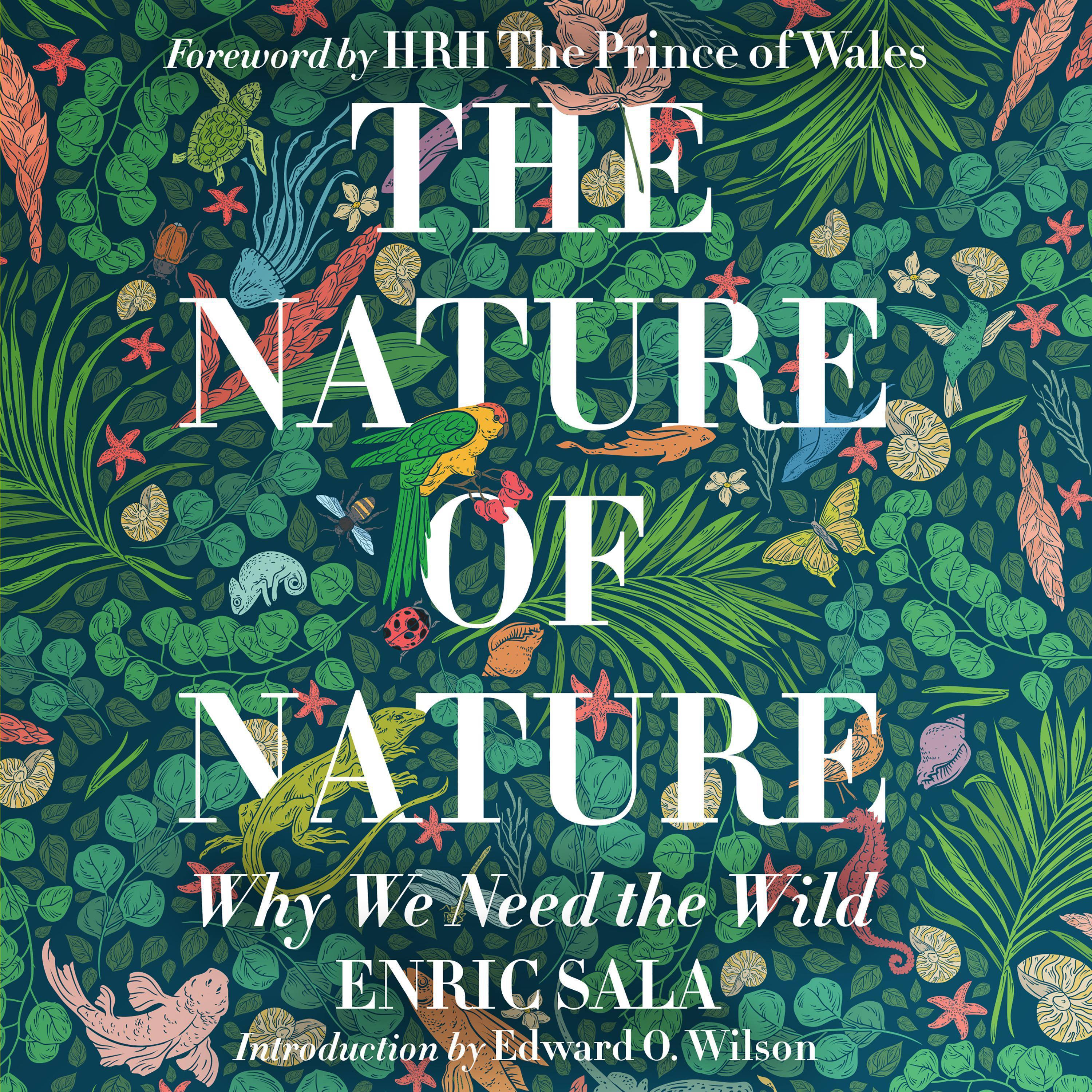 The Nature of Nature