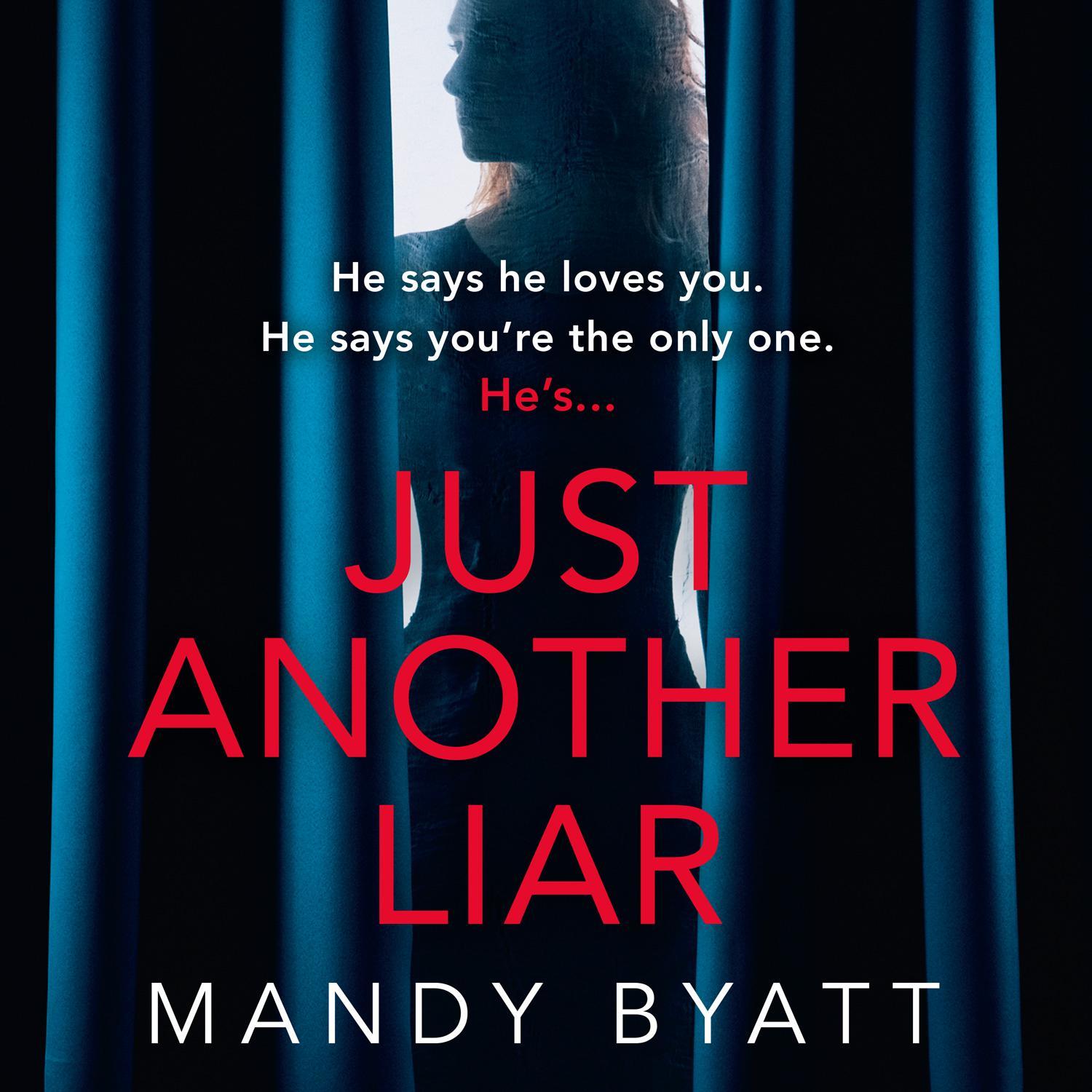 Just Another Liar