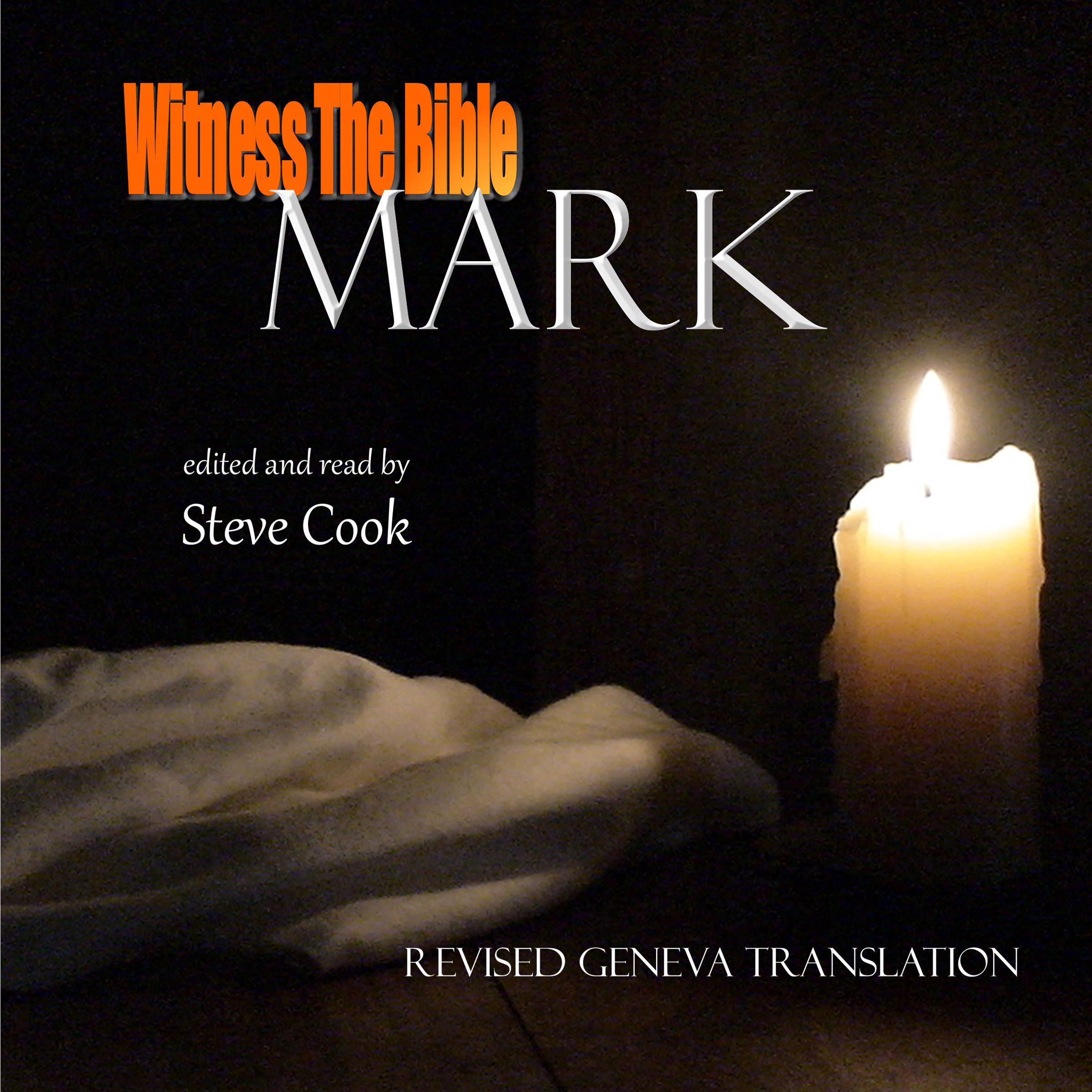 Witness the Bible