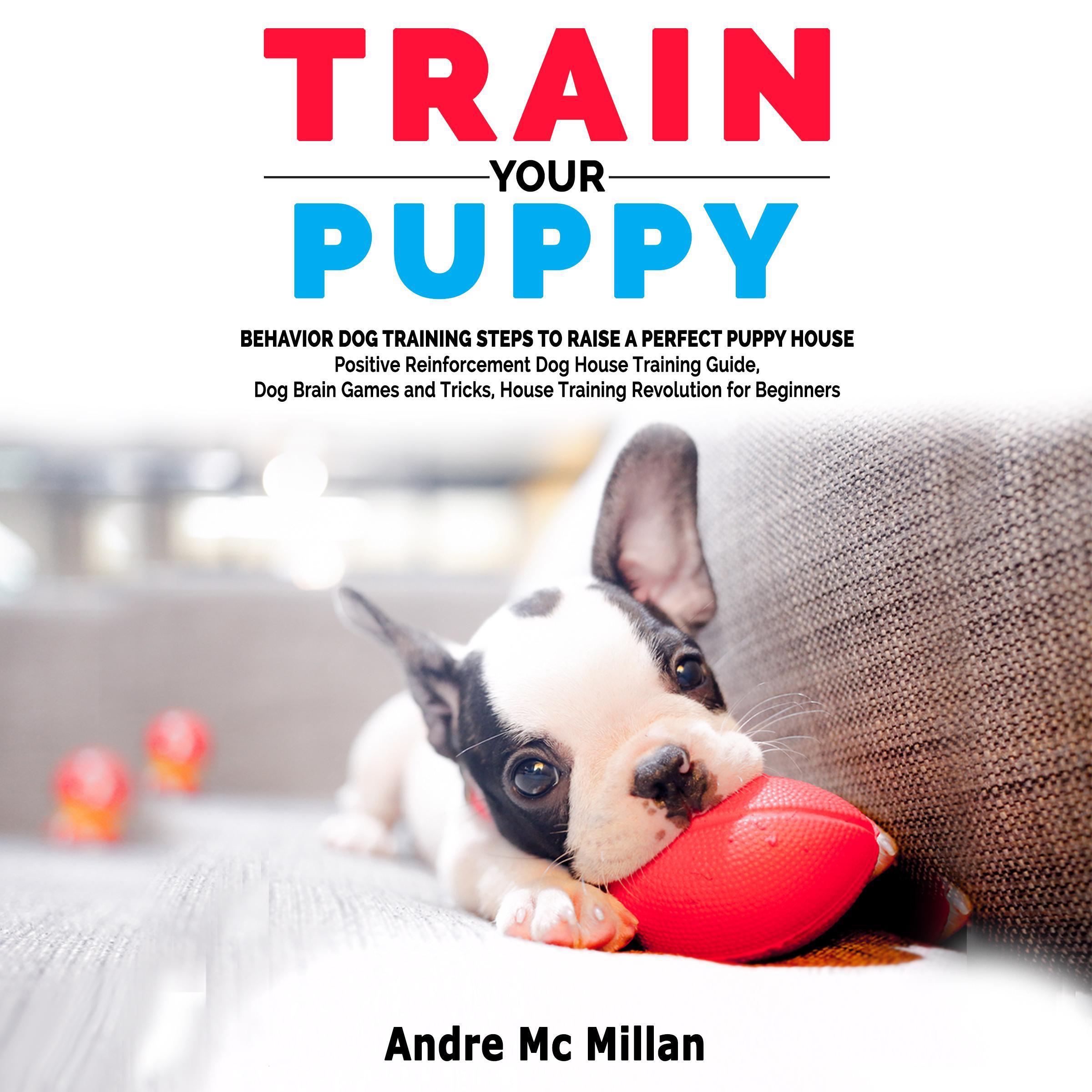 Train your puppy