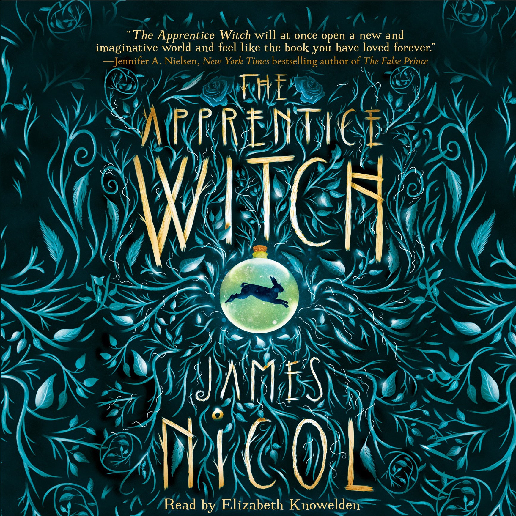 The Apprentice Witch