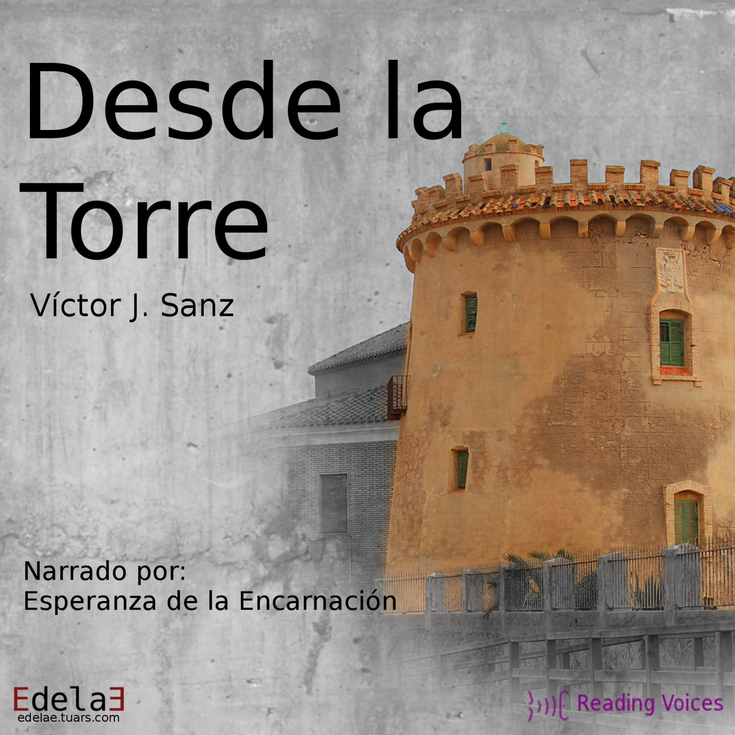 Desde la torre