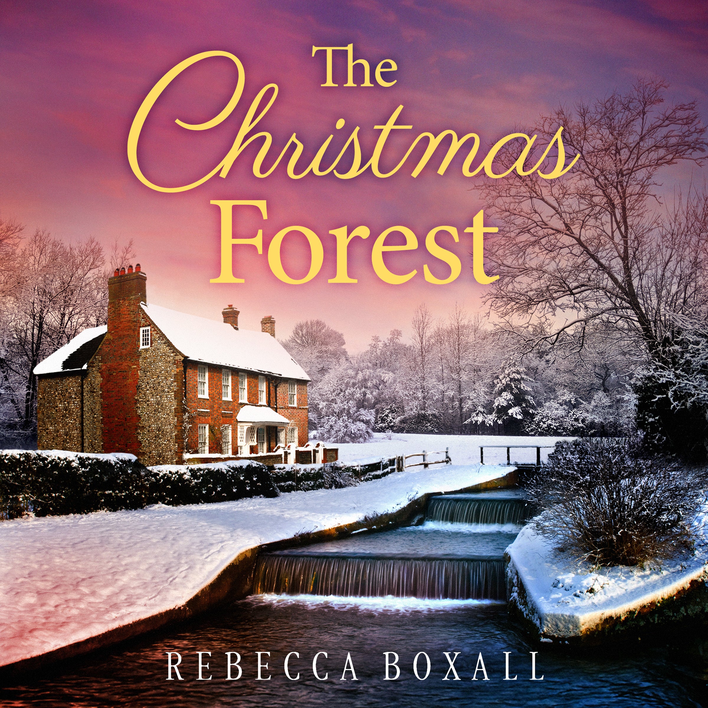 The Christmas Forest