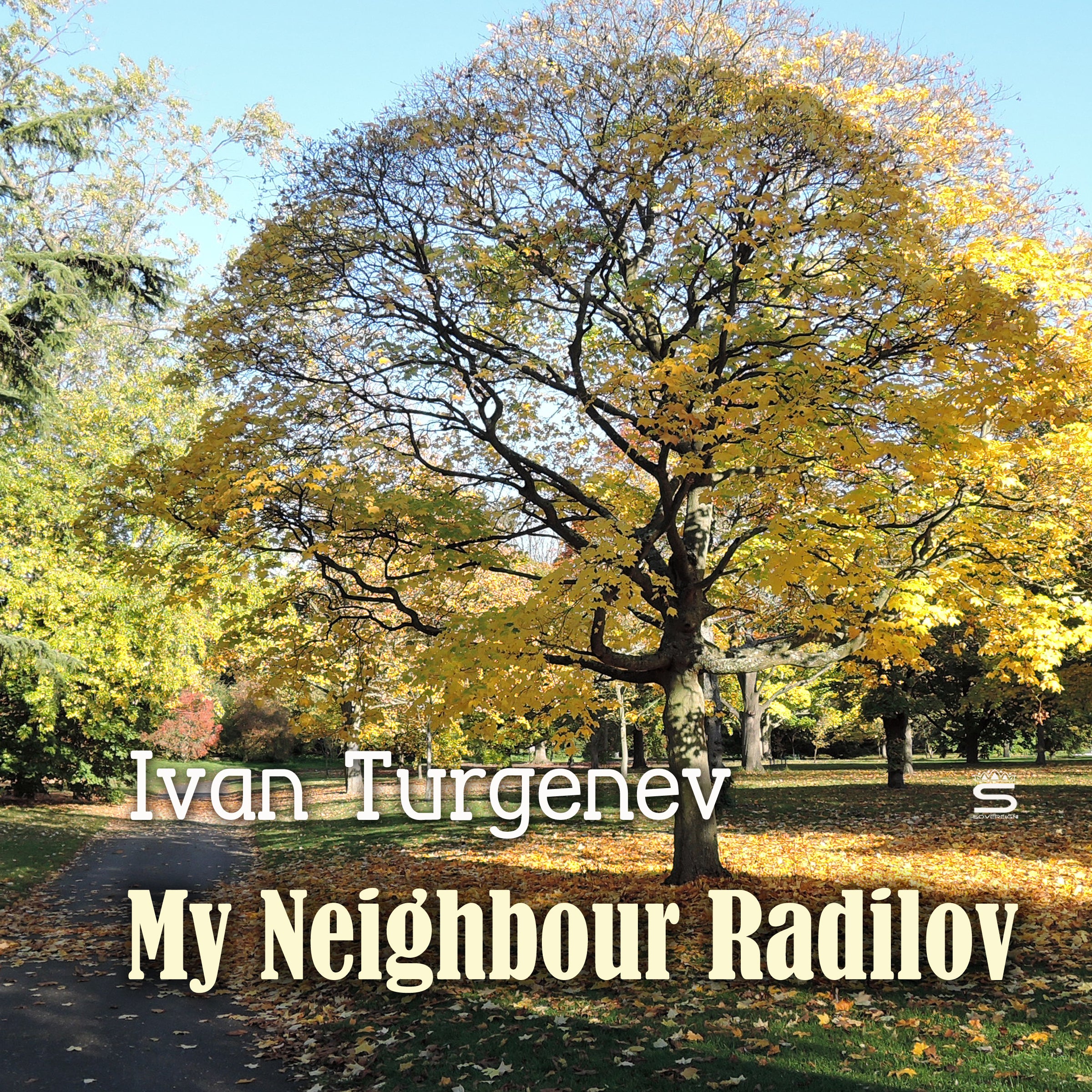 My Neighbour Radilov