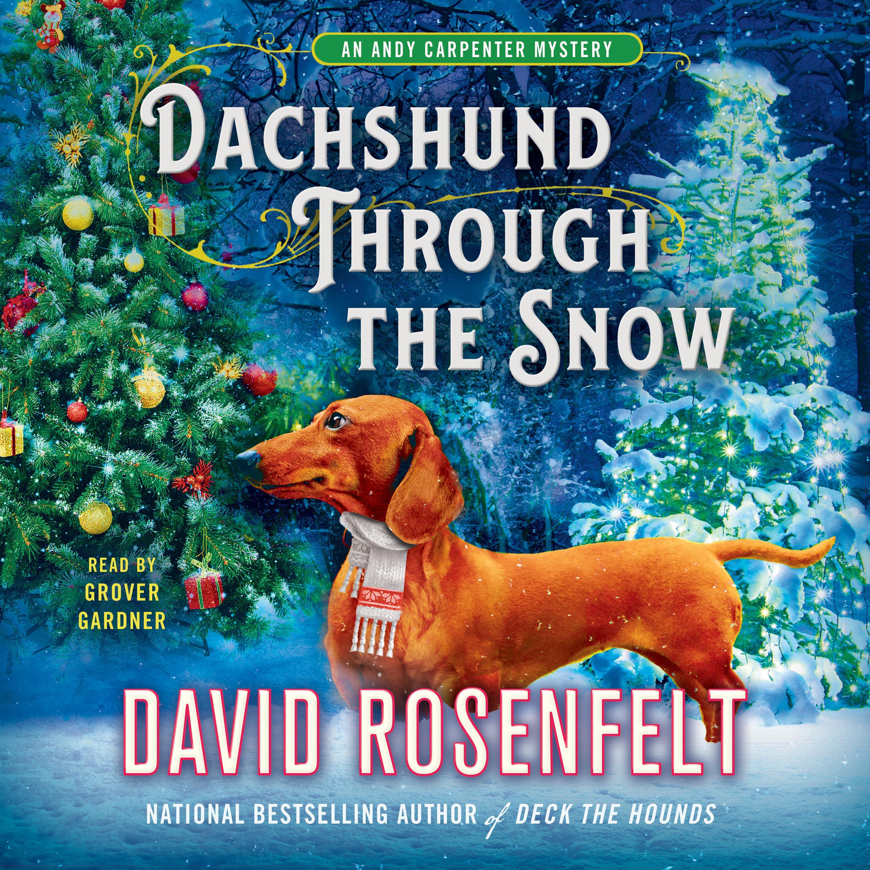 Dachshund through the Snow