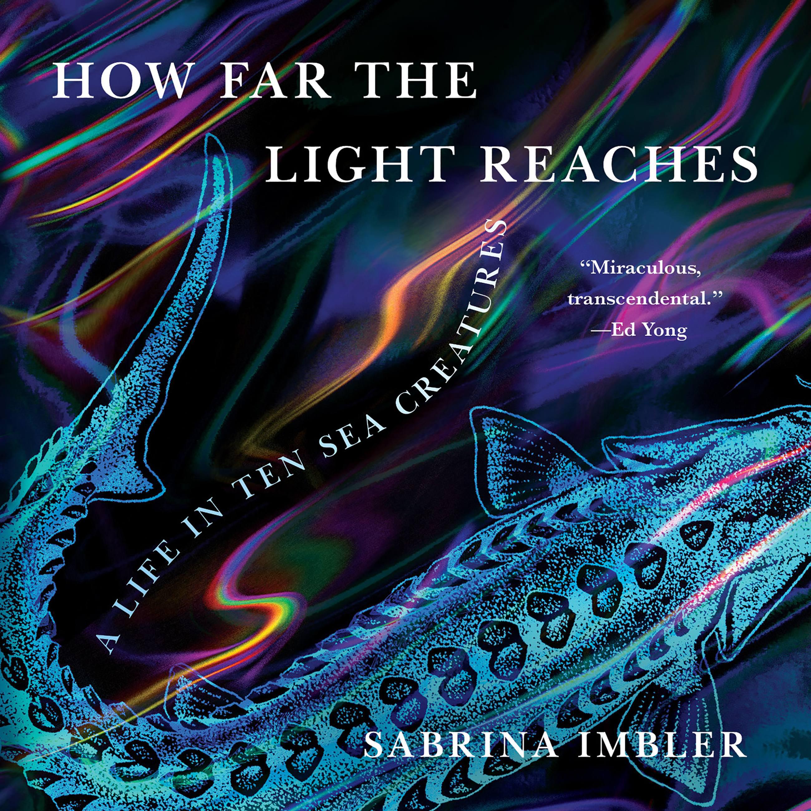 How Far the Light Reaches