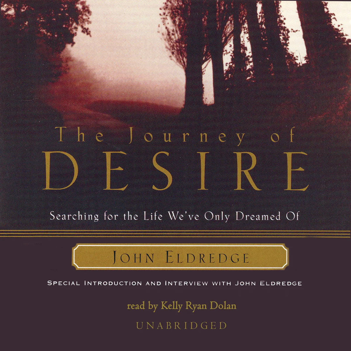 The Journey of Desire