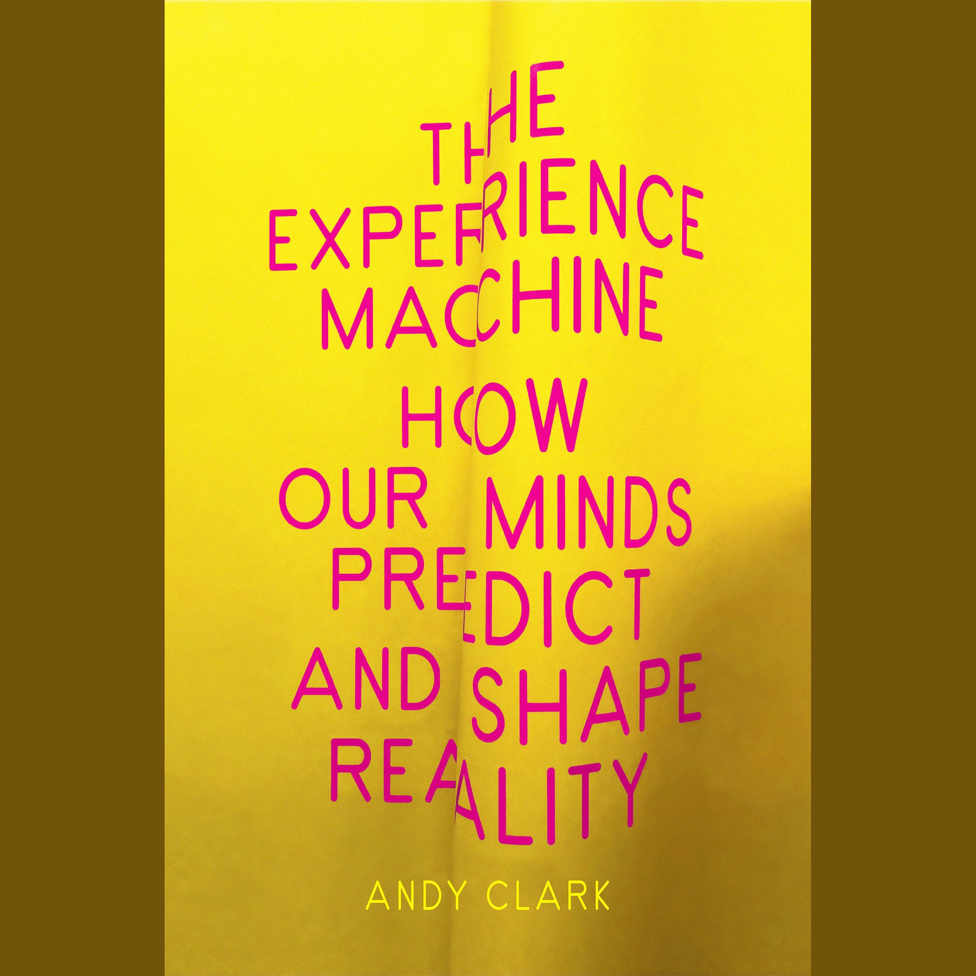 The Experience Machine