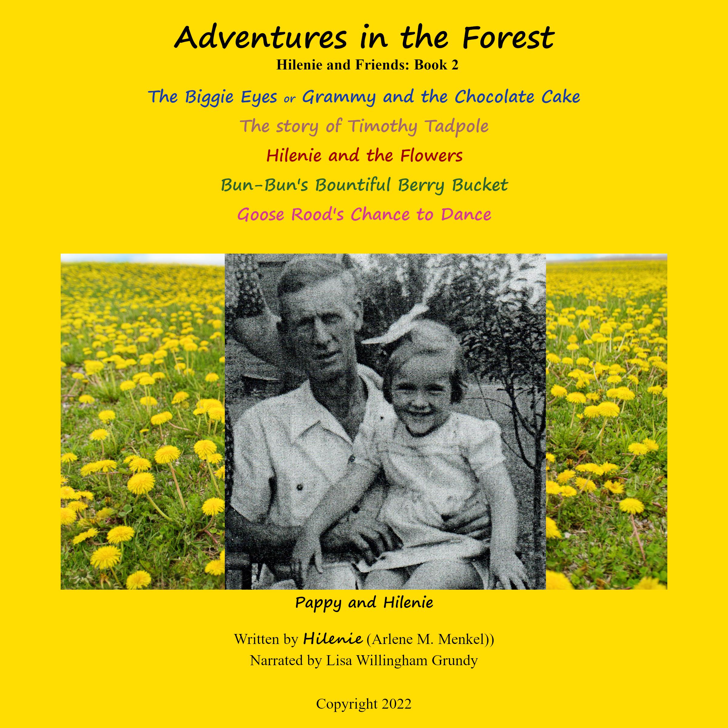 Adventures in the Forest