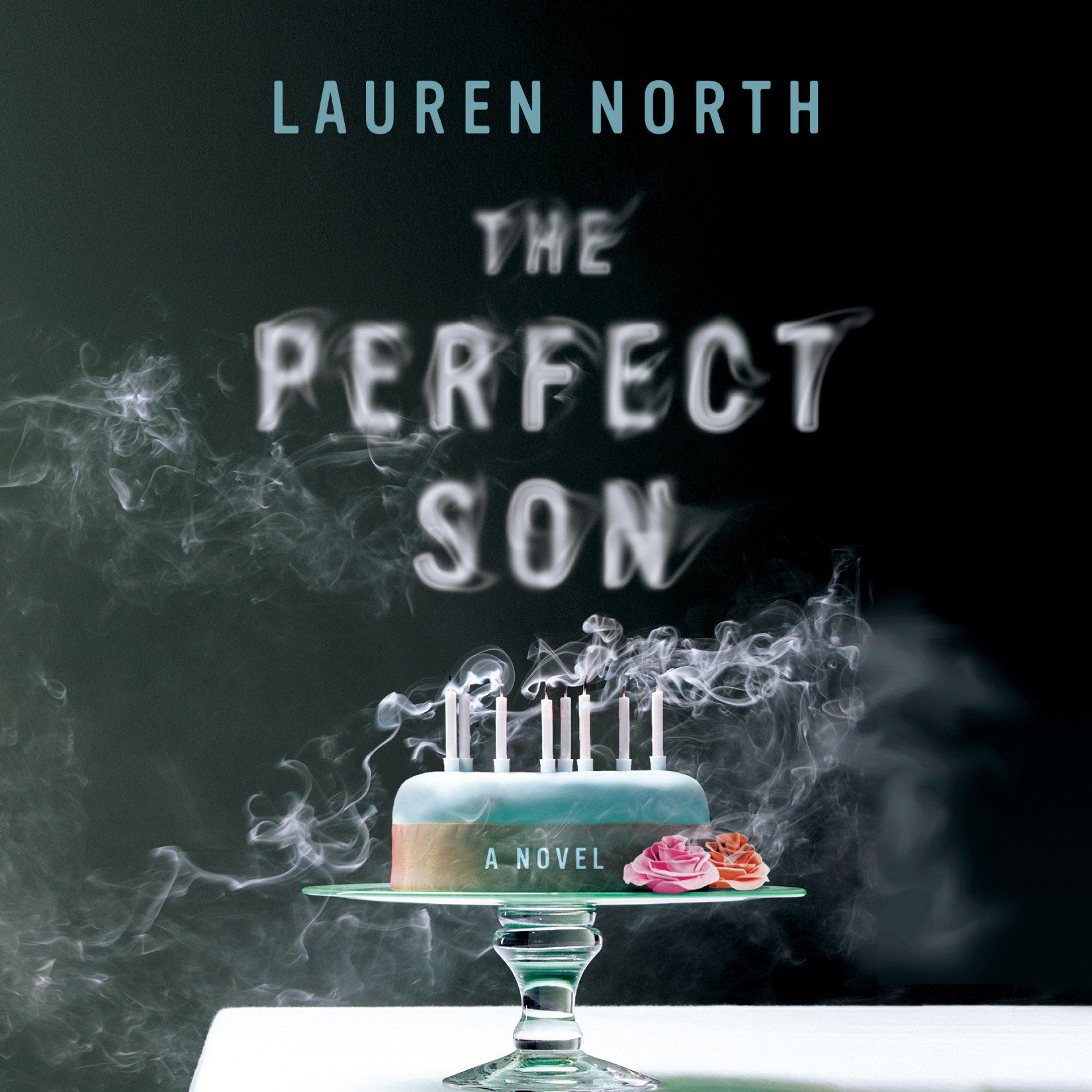 The Perfect Son