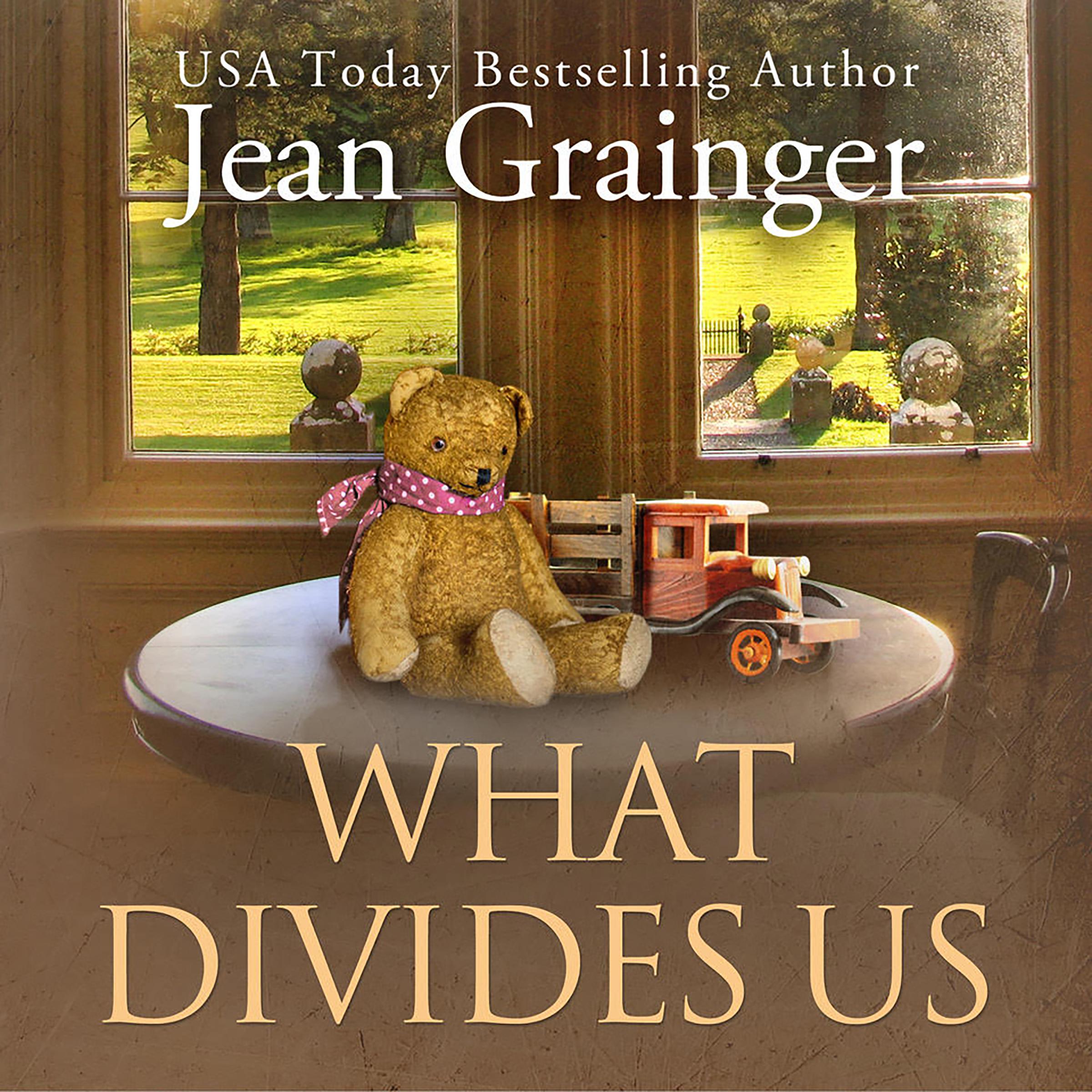 What Divides Us