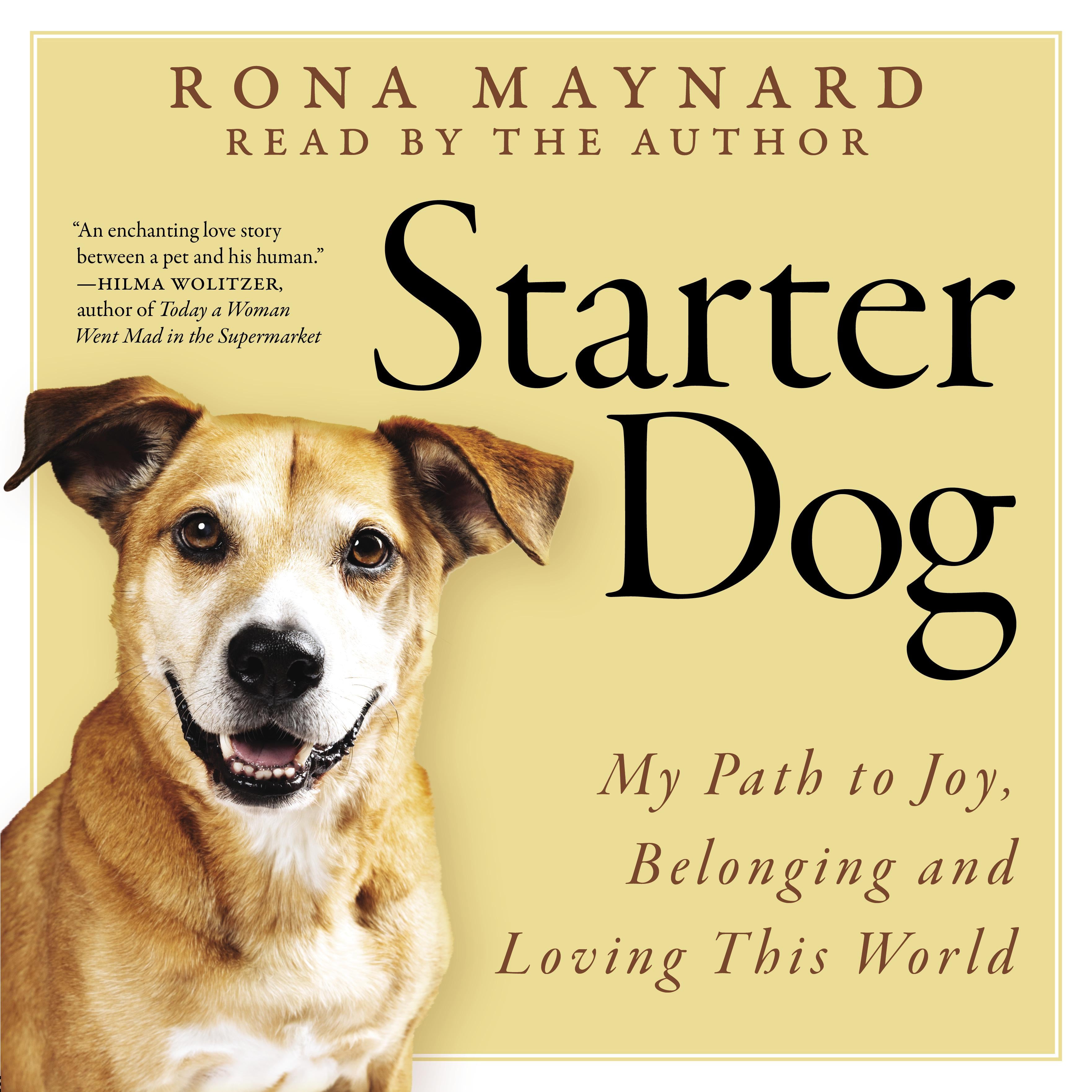 Starter Dog