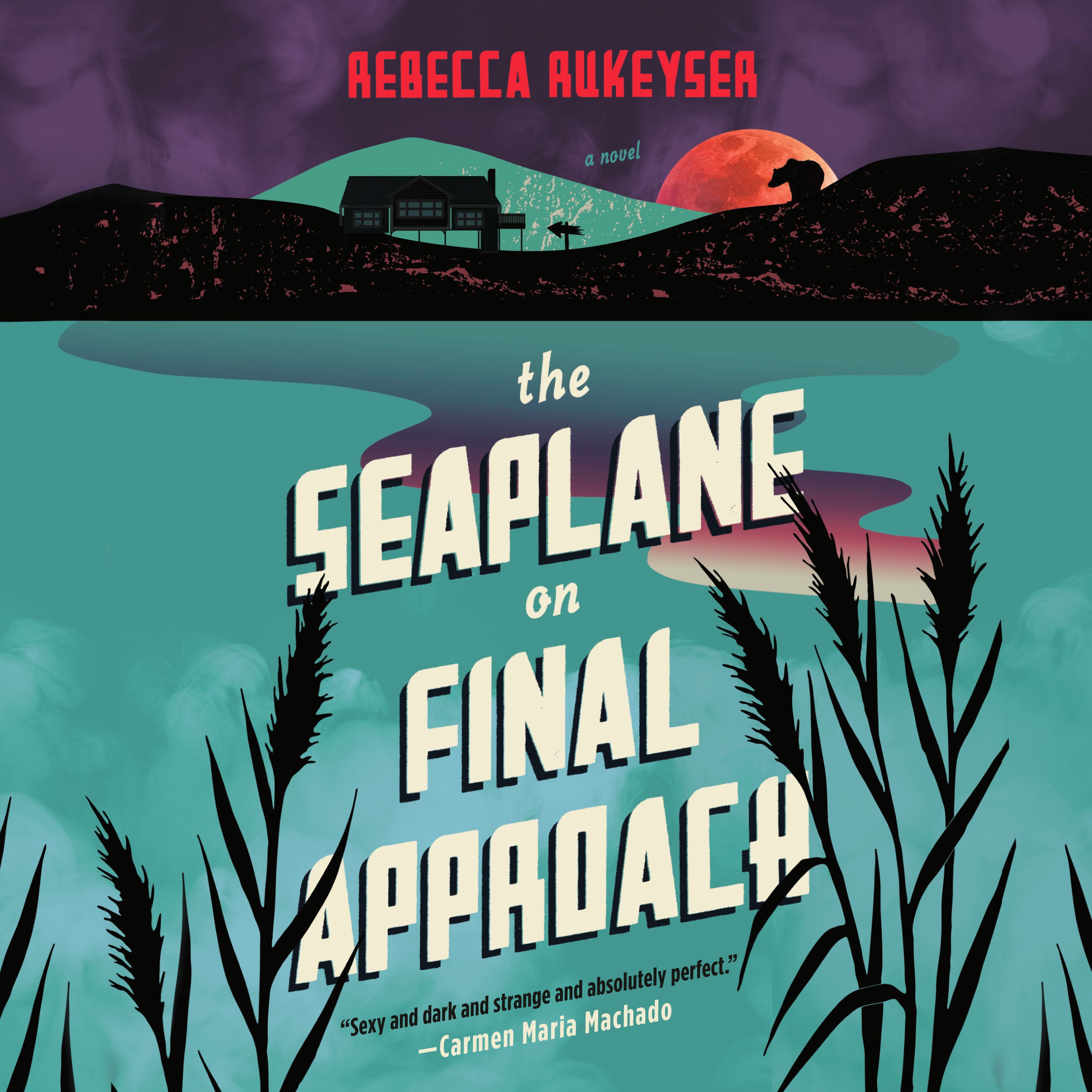 The Seaplane on Final Approach